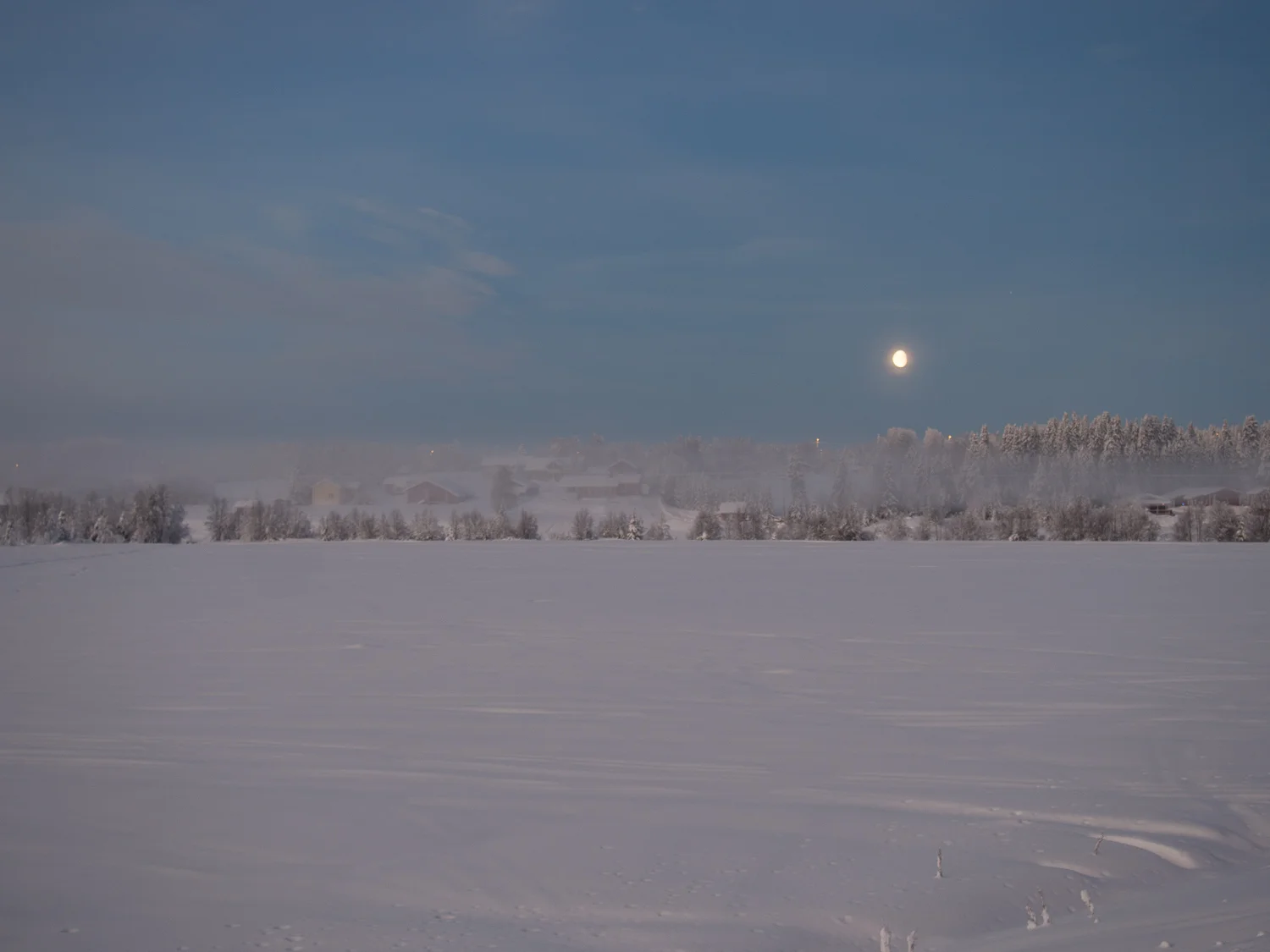 20160128-_1280490.jpg