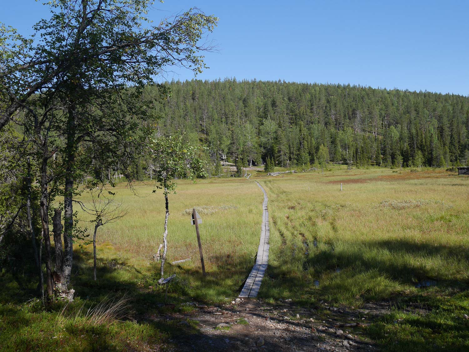 20150830-P1170347.jpg