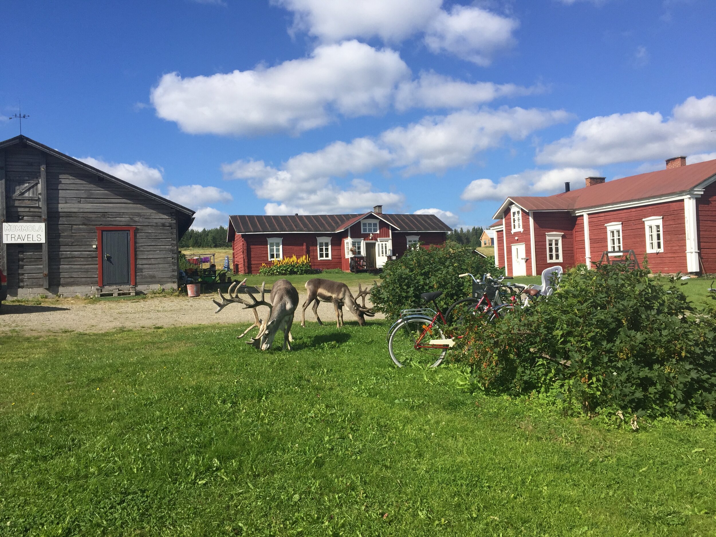 Mummola Travels pihapiiri.jpeg