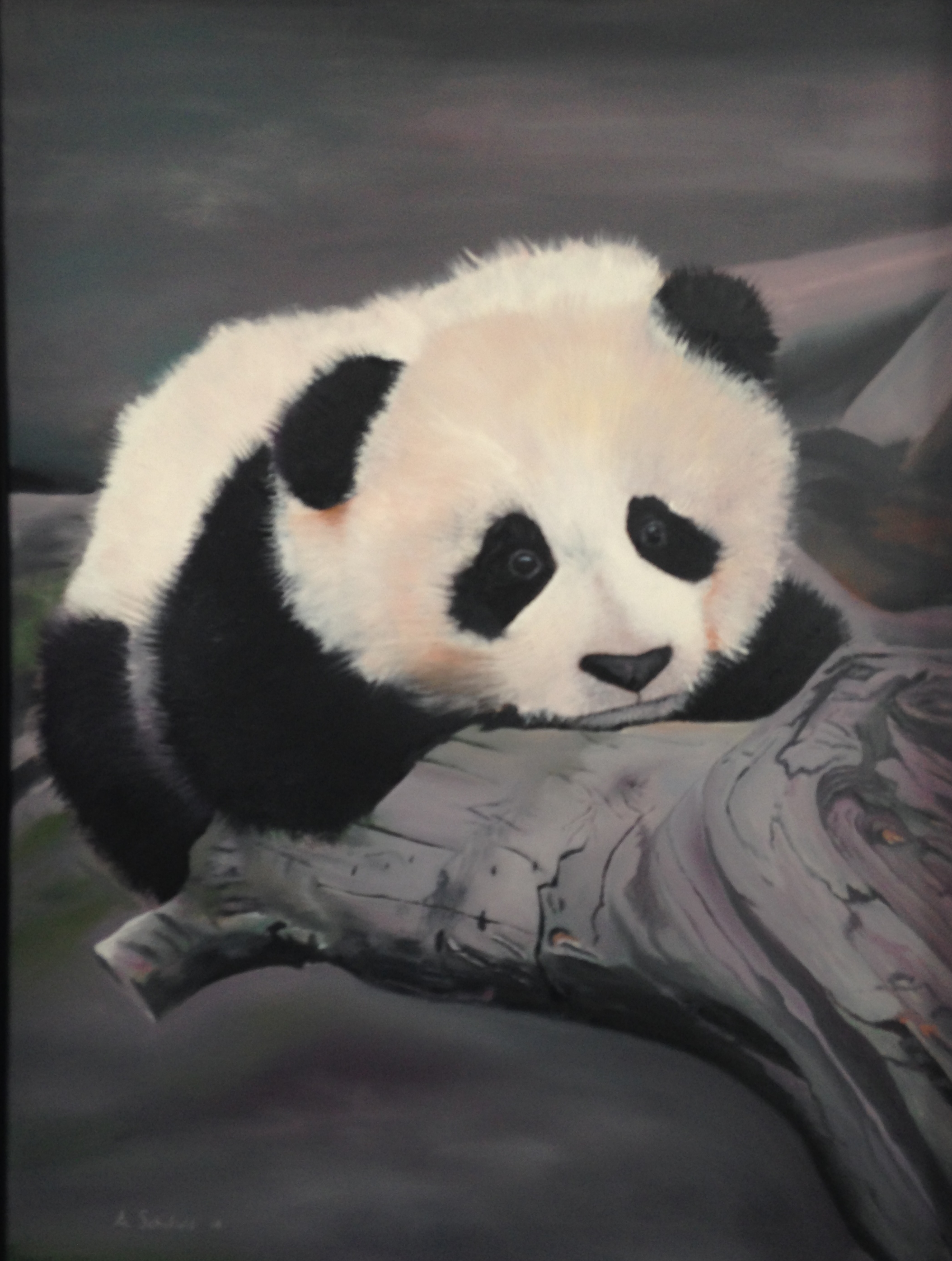 Panda 