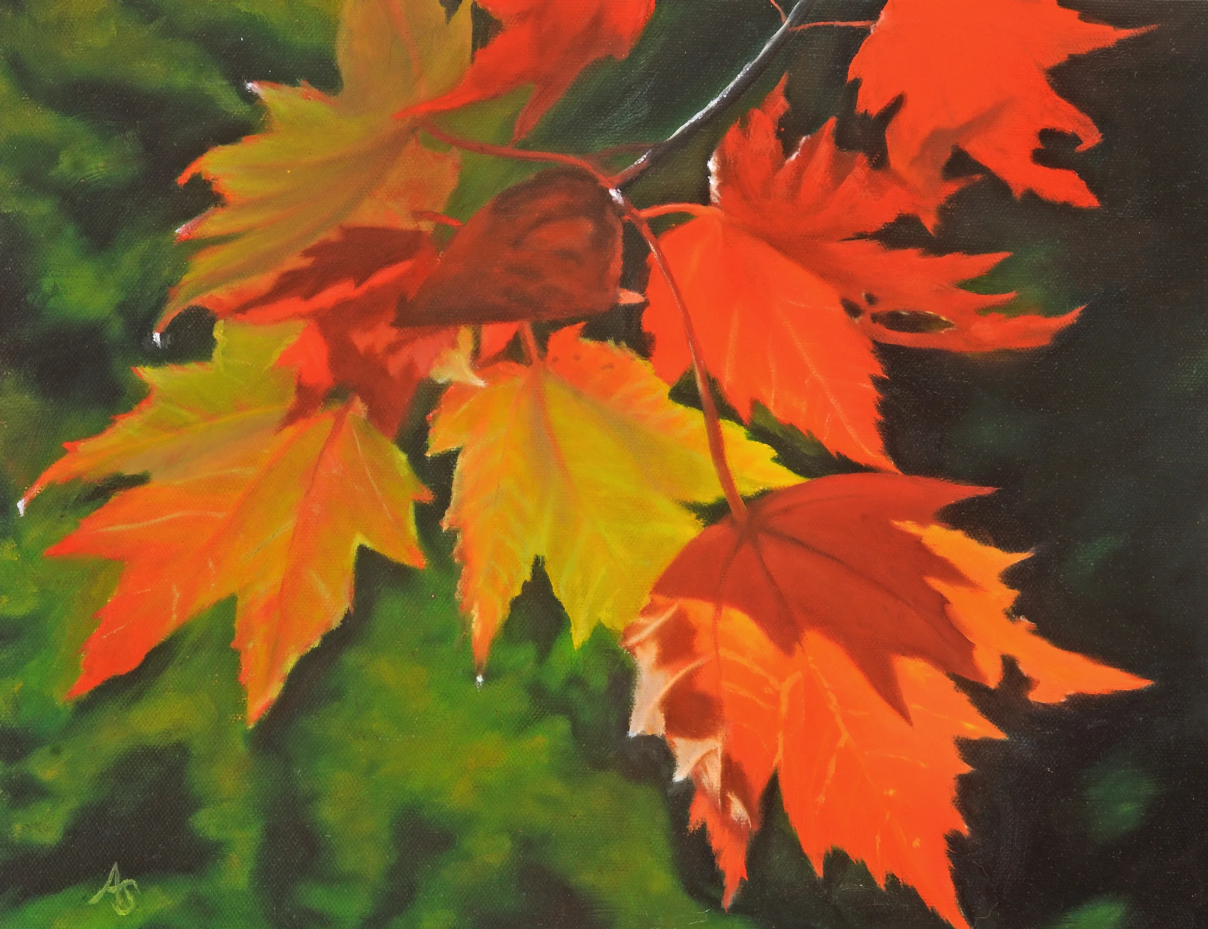 Fall Leaves