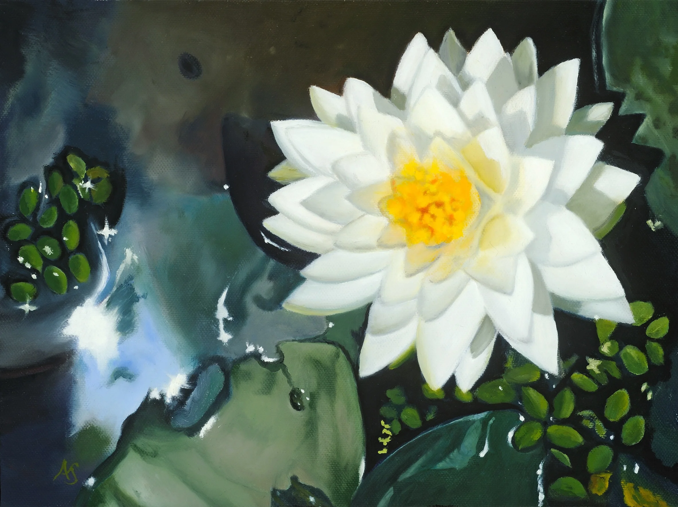White Lily