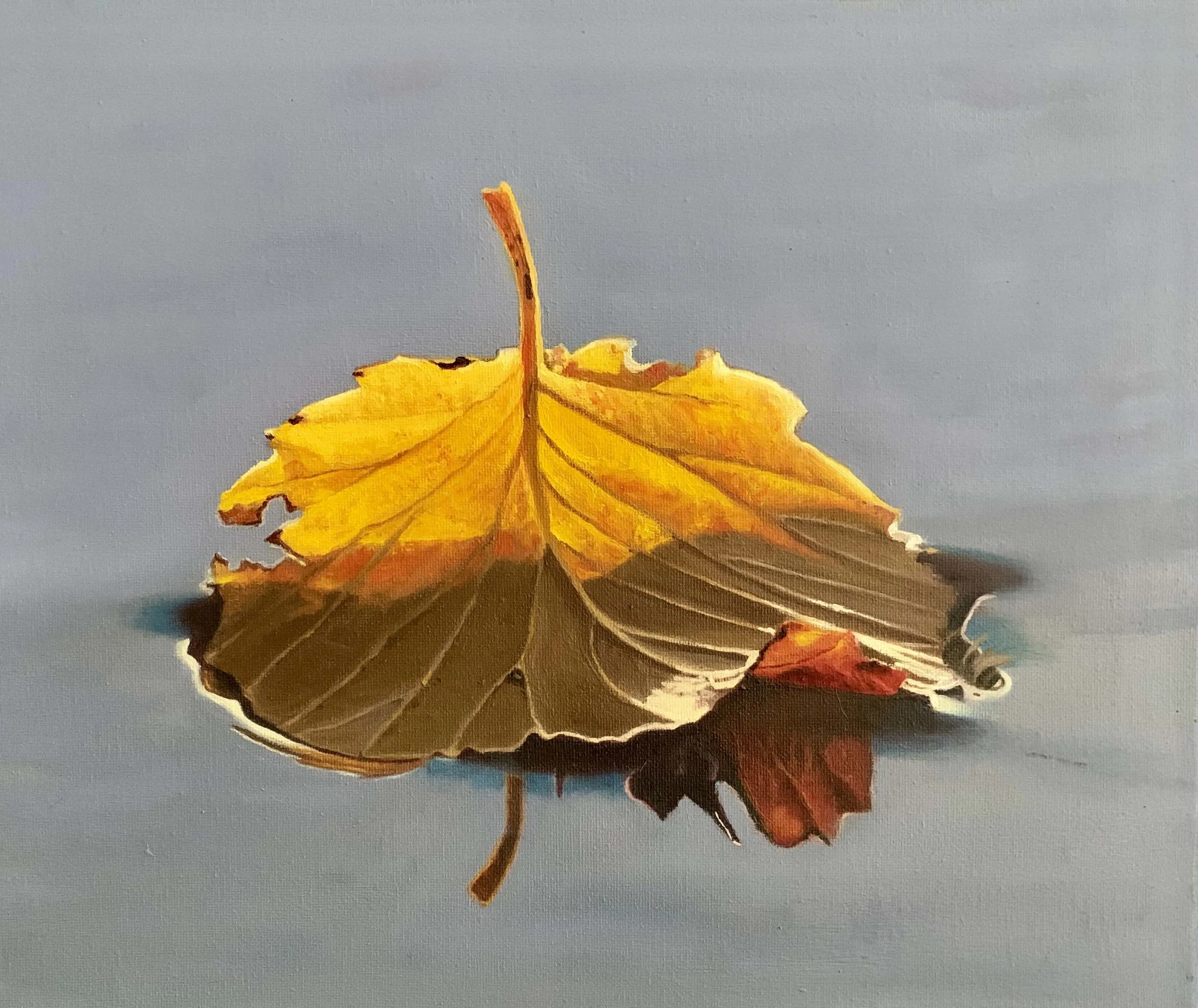 Fall in New England