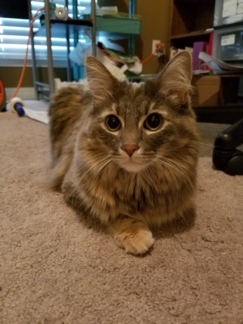 20170821_075808.jpeg