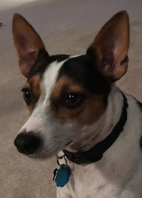 Lucy_headshot.jpeg