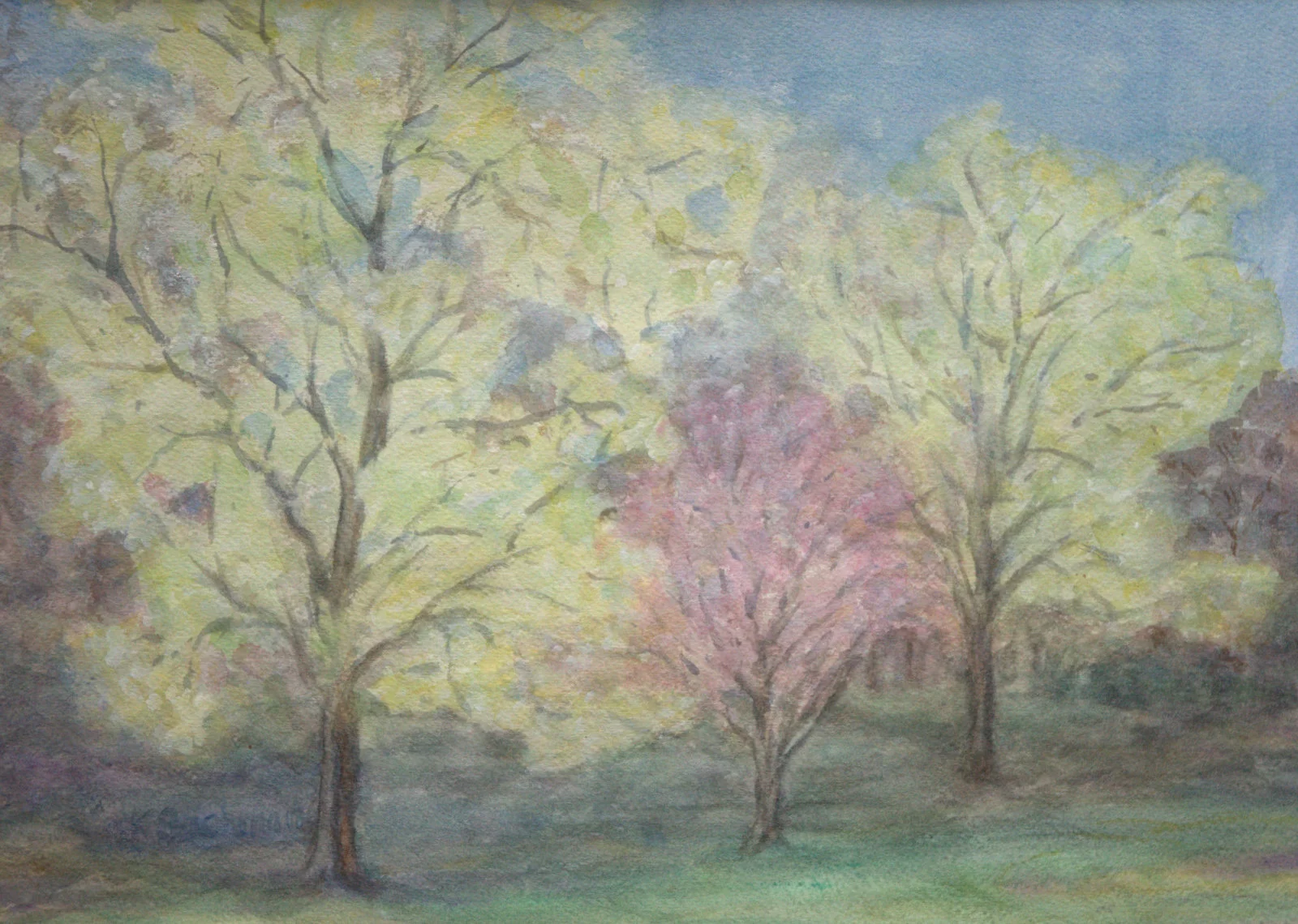 Spring at Glen Echo
