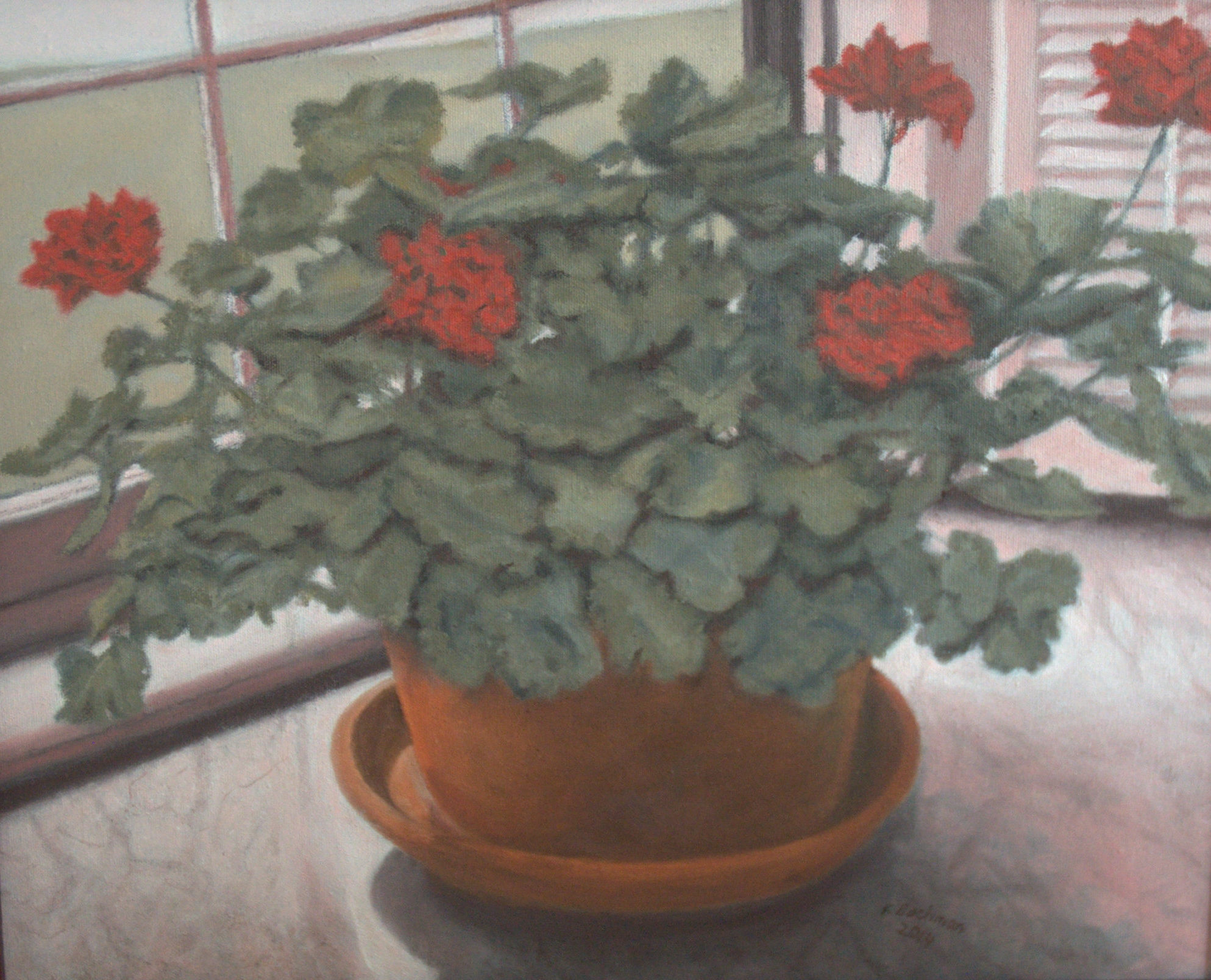 Red Geraniums