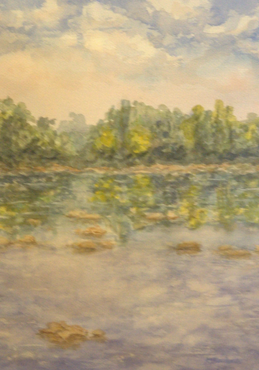 Potomac in Summer