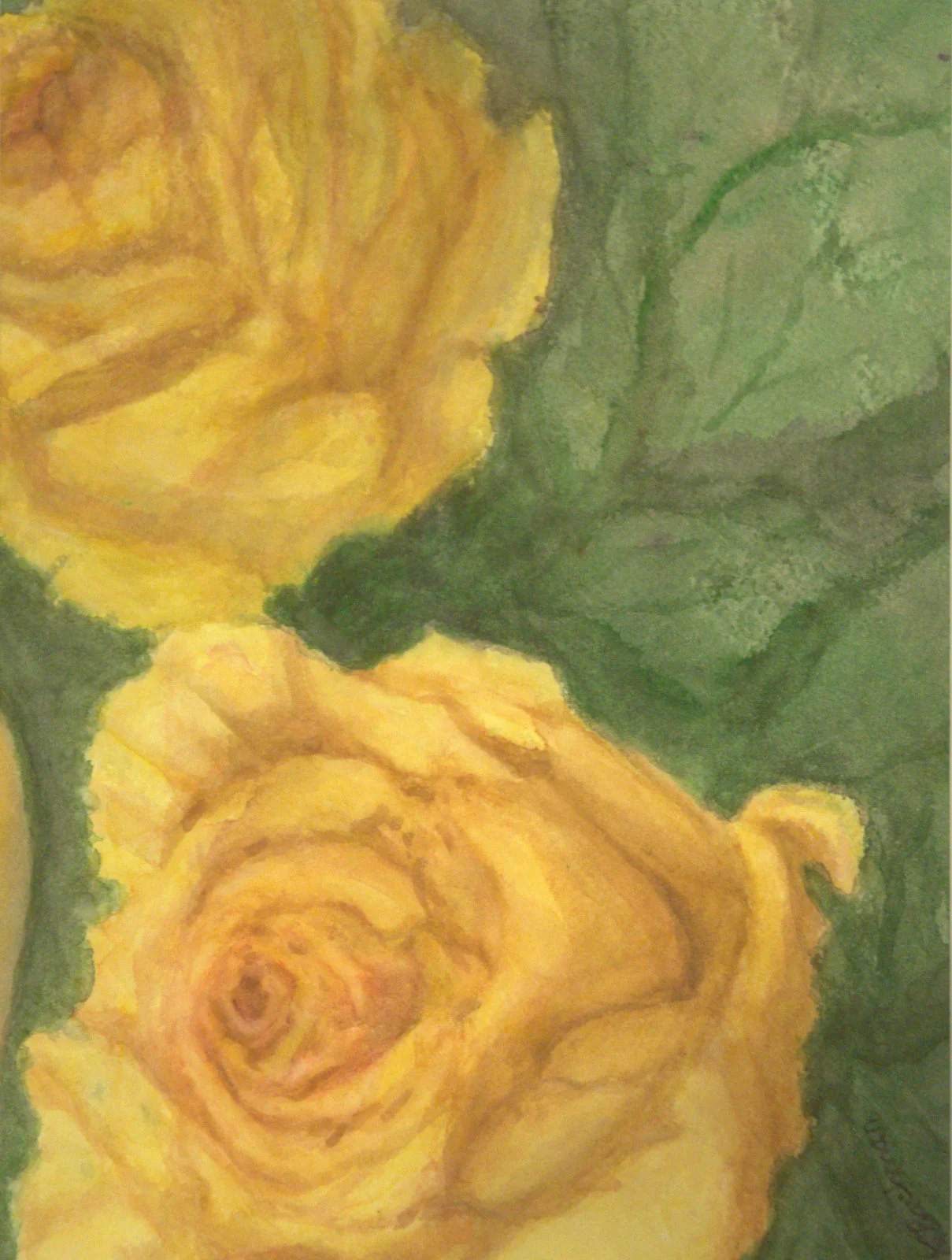 Yellow Roses