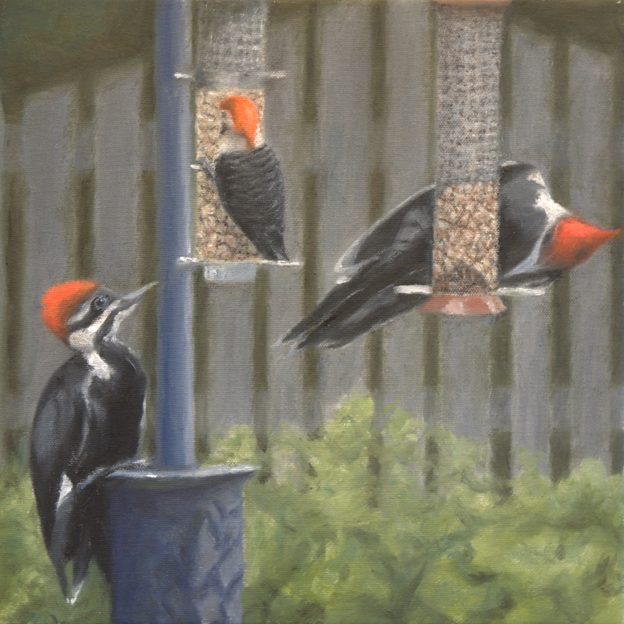 Woodpecker convention