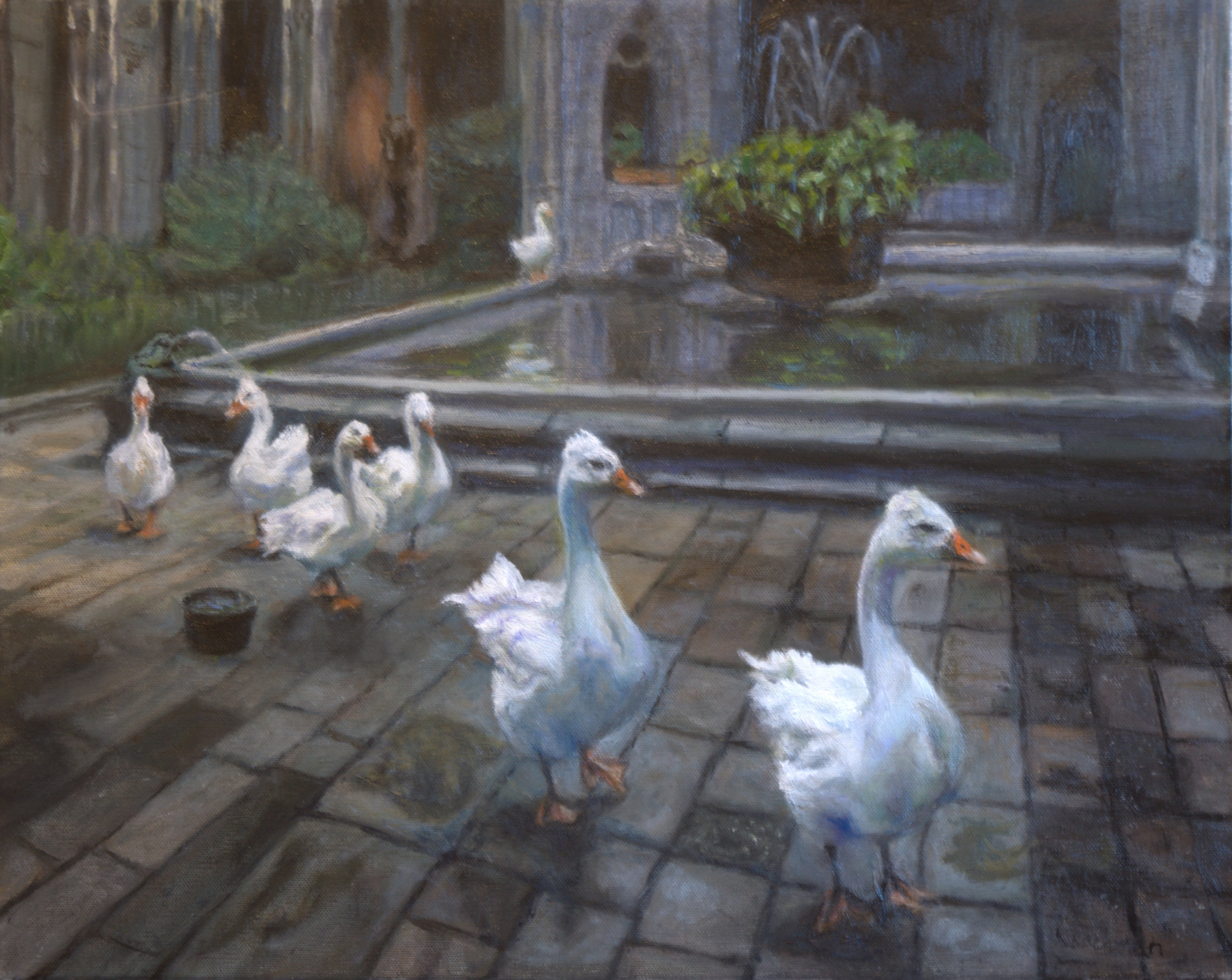 Geese in the Cloister