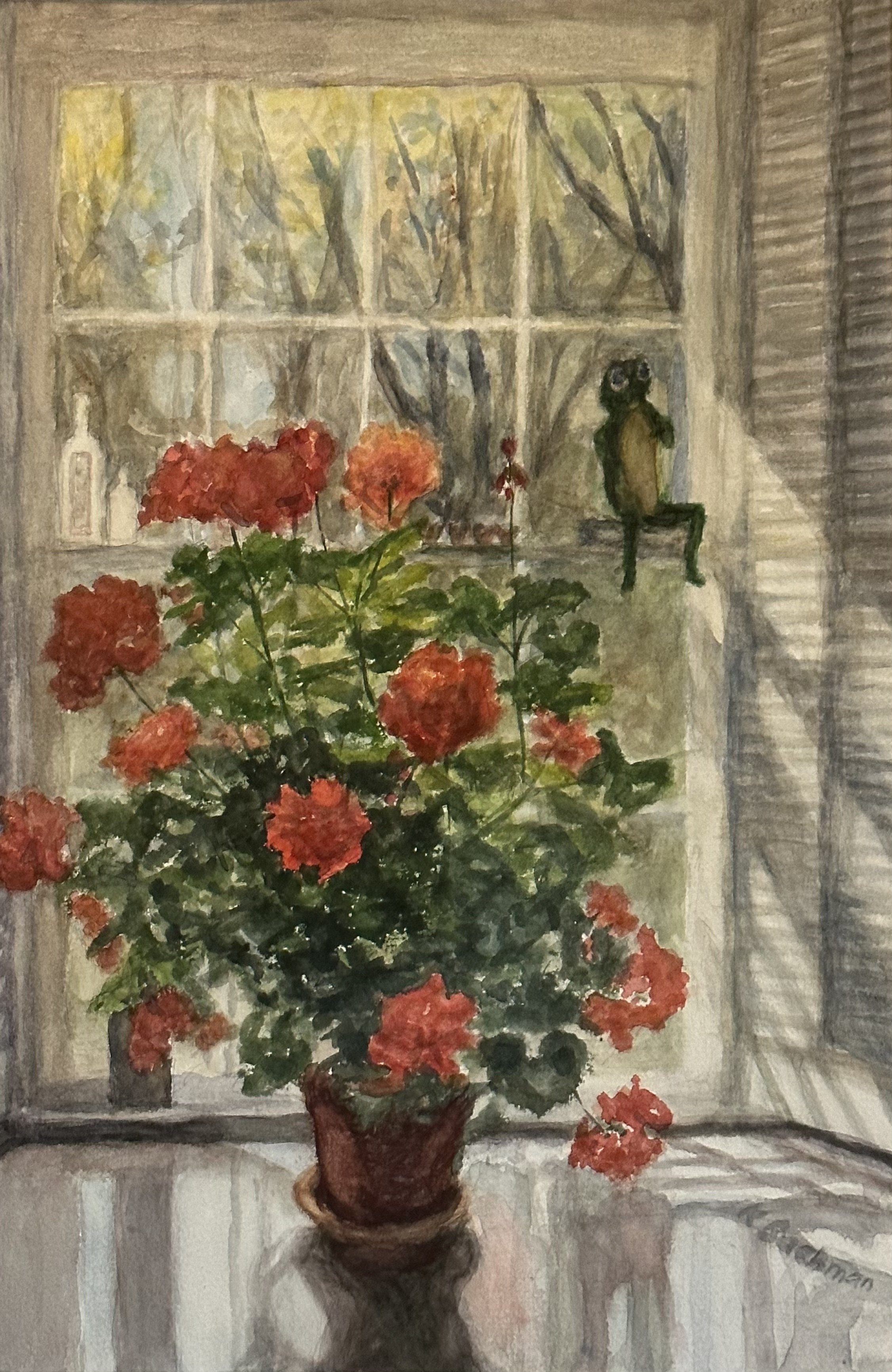 Geraniums in Window