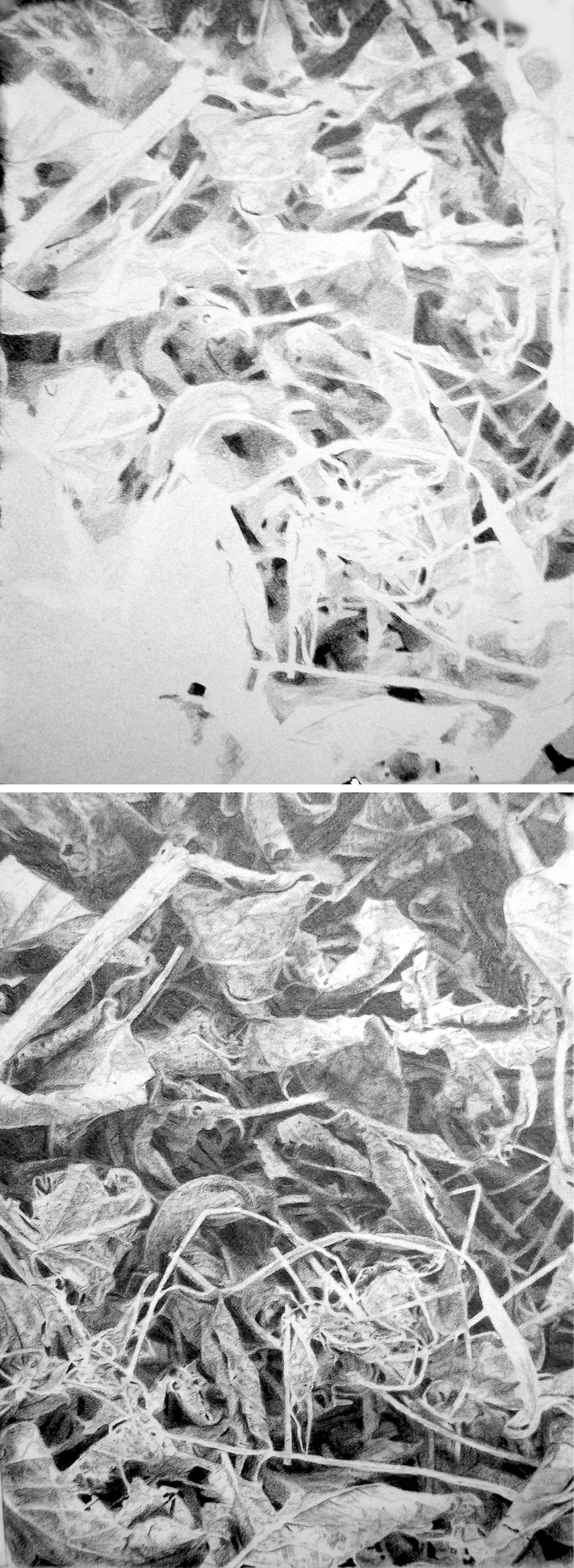 Patch of Earth, detail, by Bly Pope. First and final stages of a section.