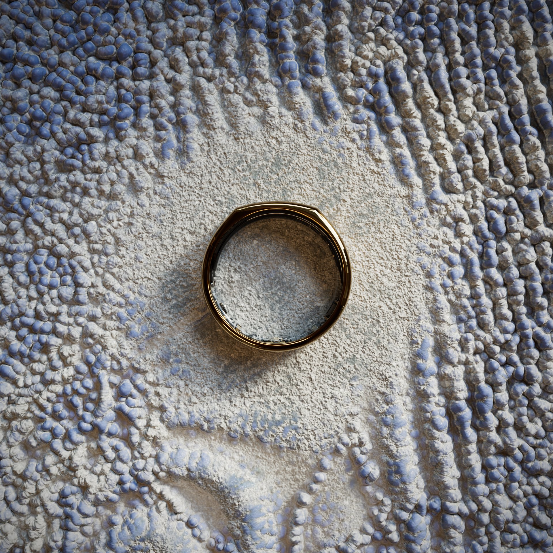 OS_still_230_v001.jpg
