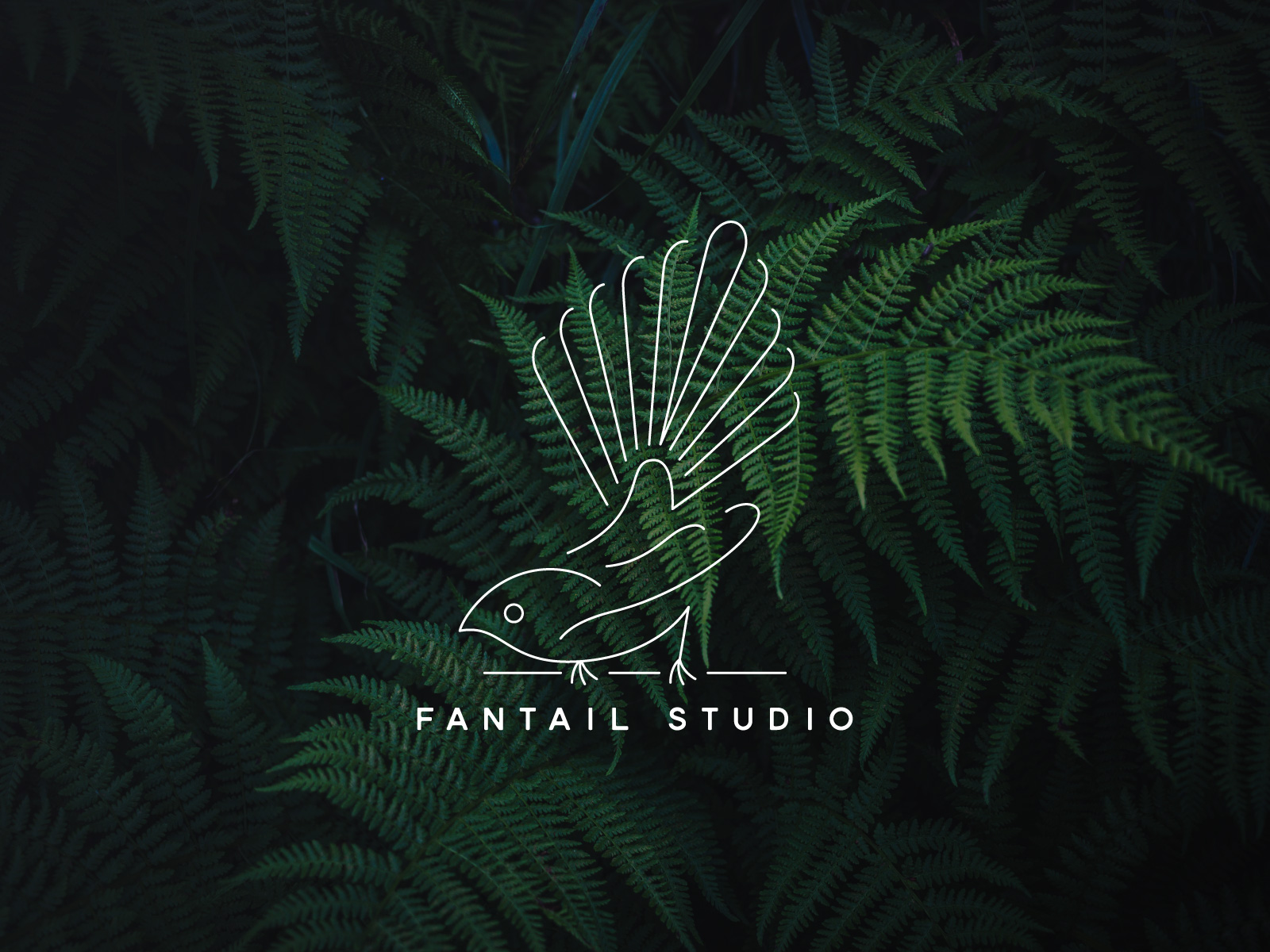 Fantail_Logo_(800x600px)_4.0.jpg