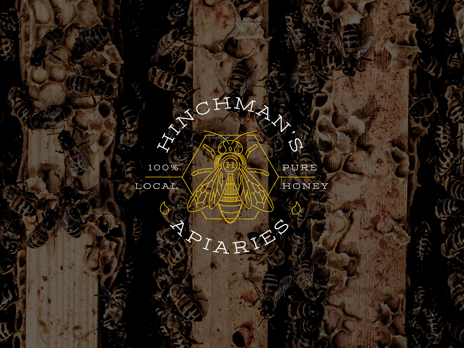 HinchmansApiaries_(1600x1200px)_1.0.jpg