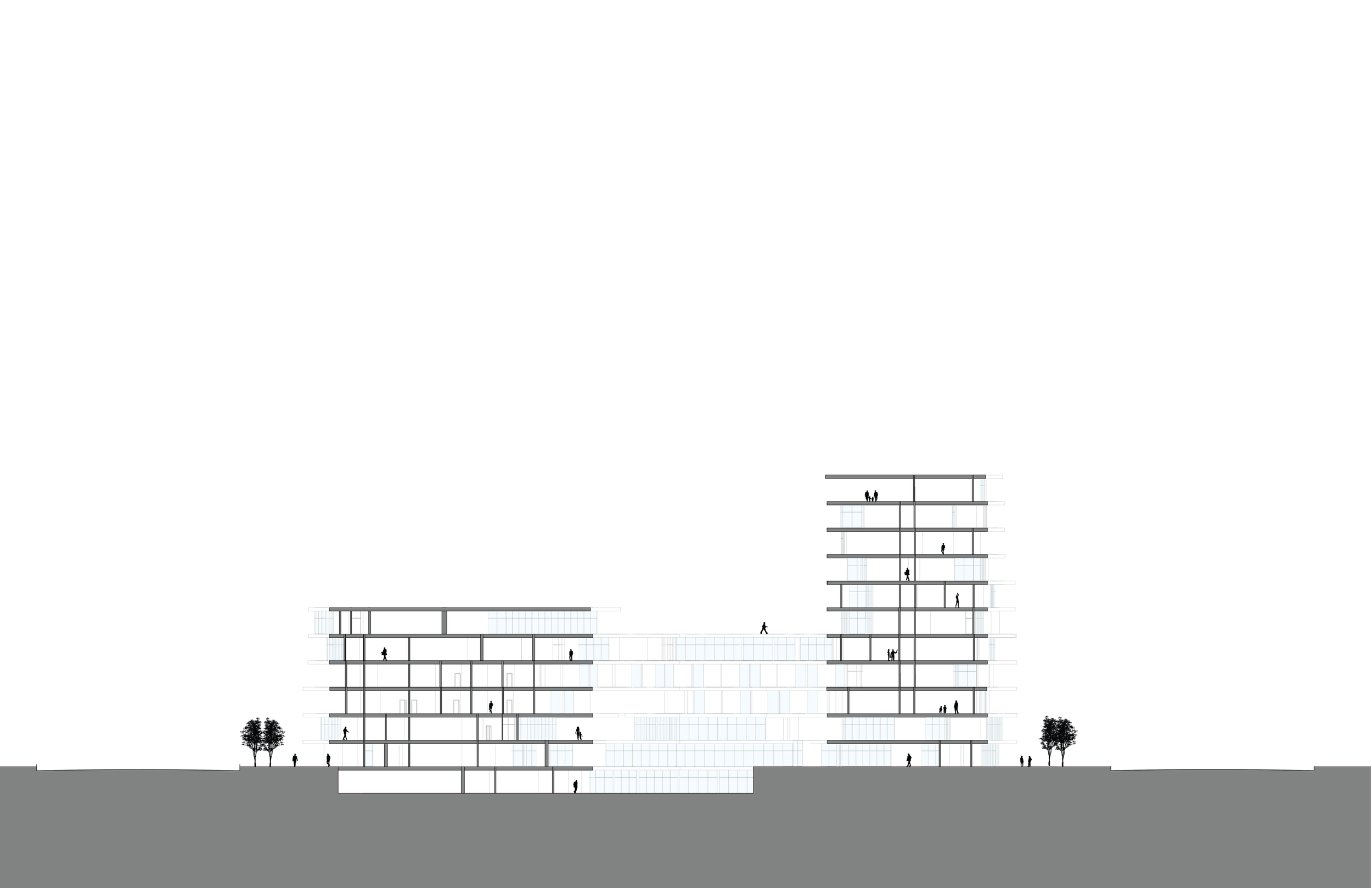 ShortSection.png