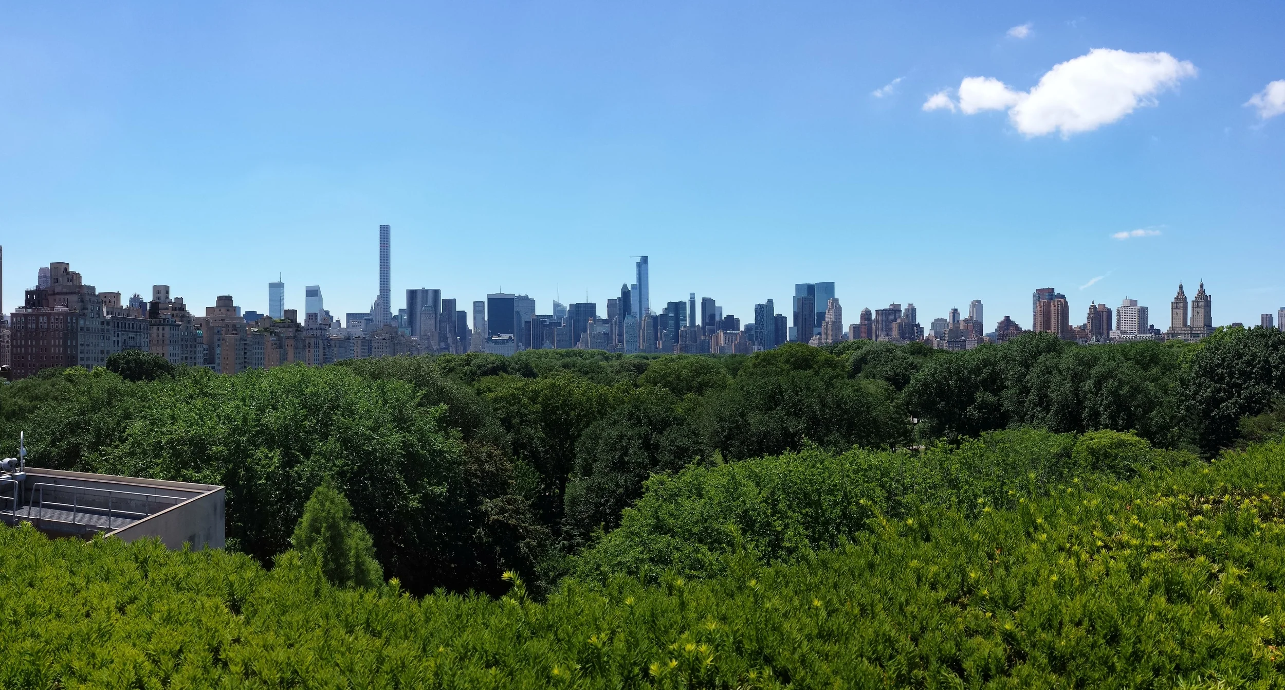 20150624_125031.jpg
