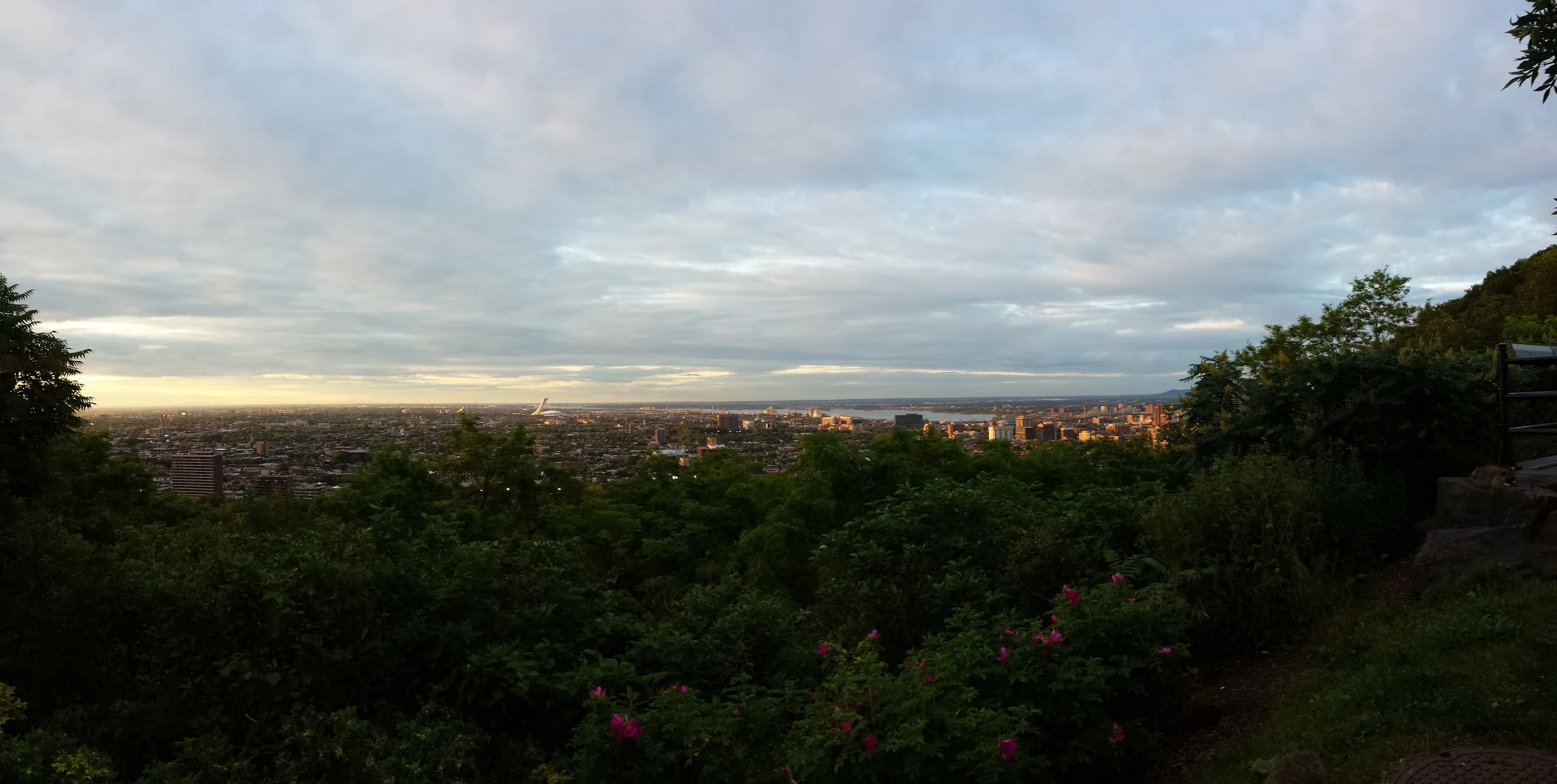 20150629_202111.jpg