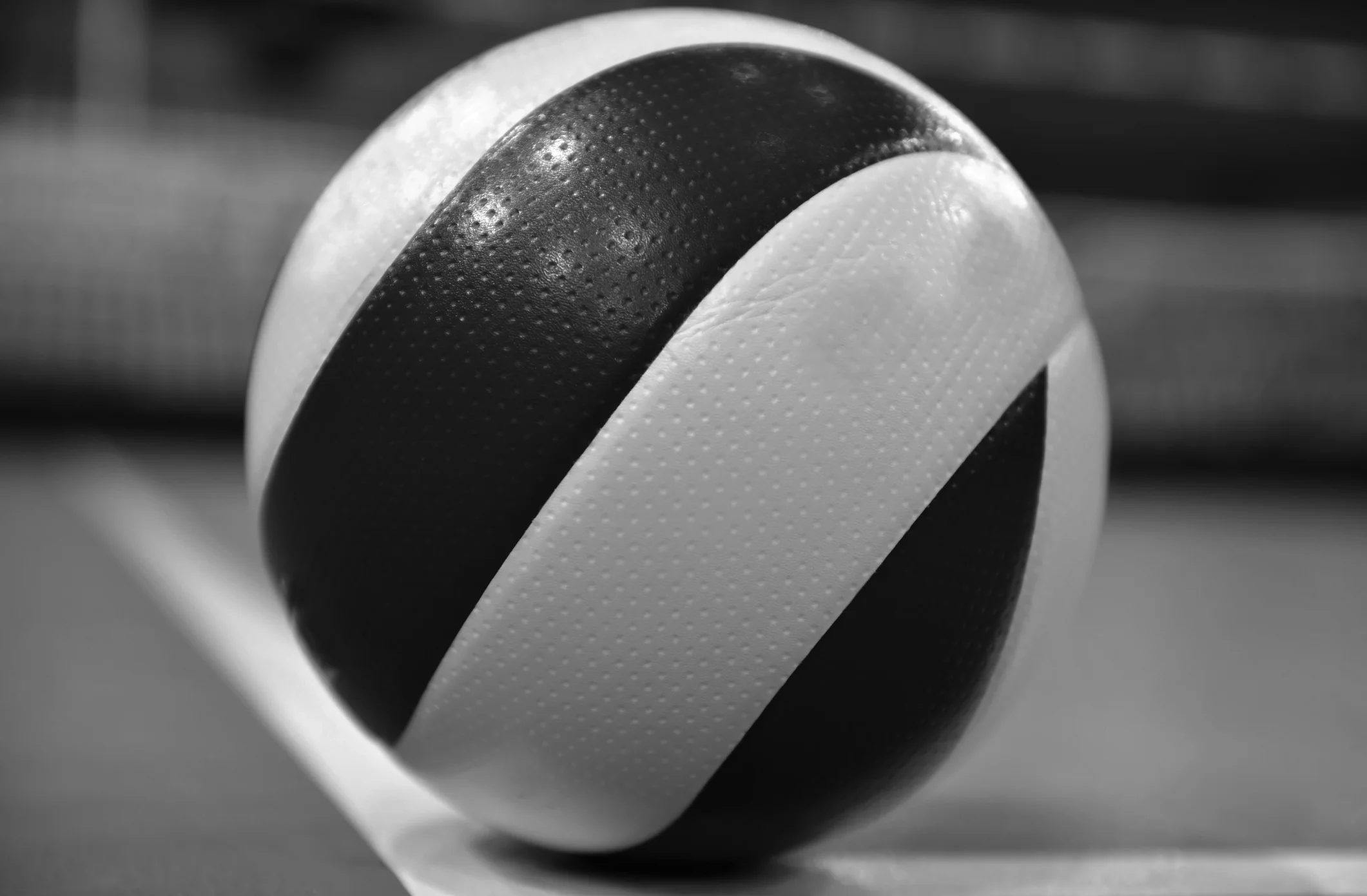 volley.jpg
