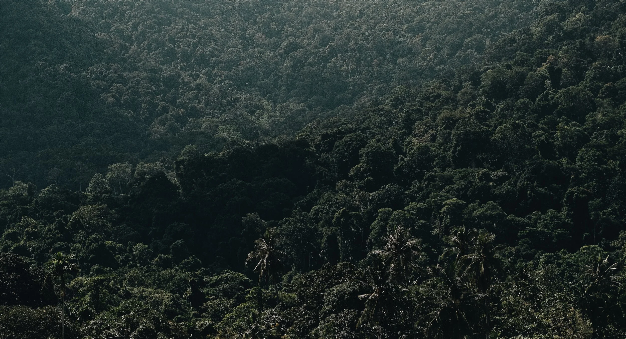  Tioman, Malaysia - 2019 