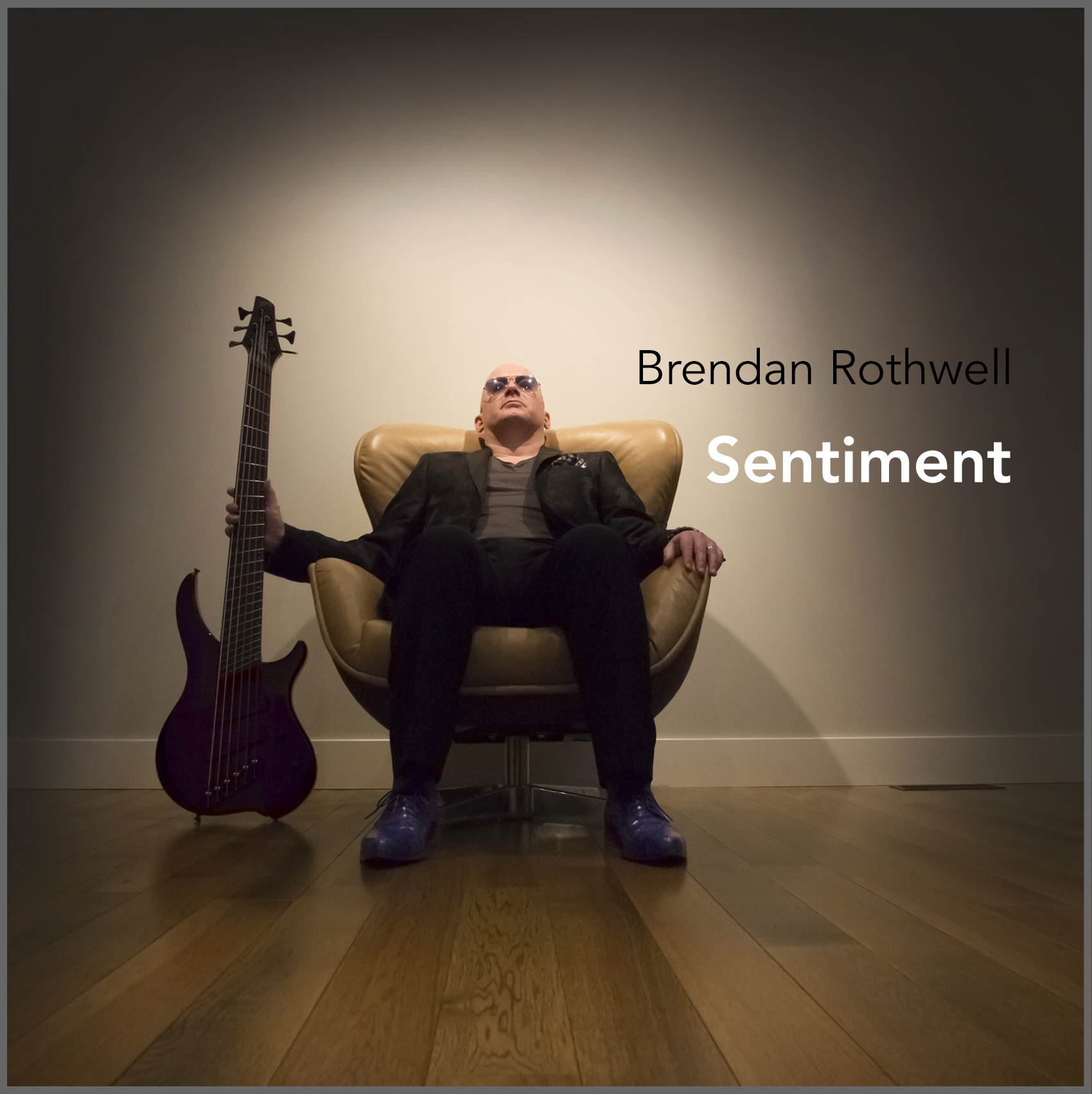 Sentiment cover art grey border.jpg
