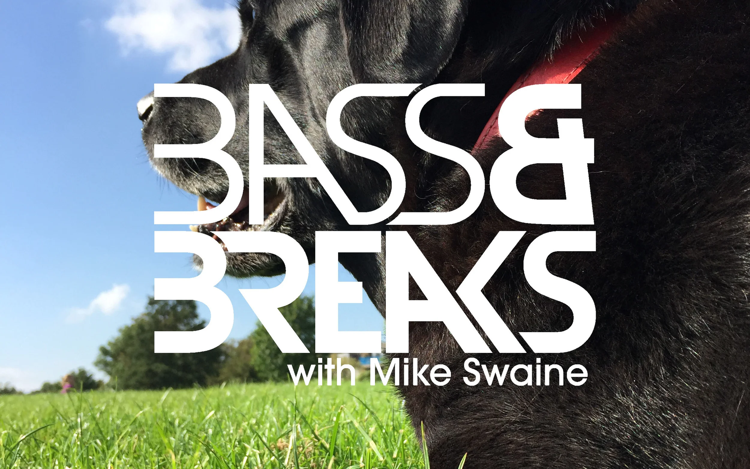 836 - Field Of Poppies