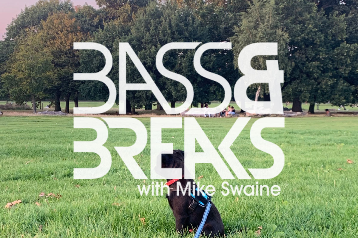 BassAndBreaks-1233.jpg