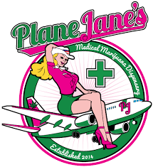 Plane Janes logo.png
