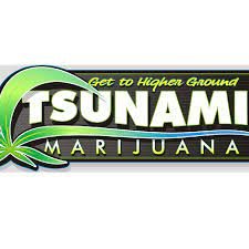 Tsunami logo.jpg
