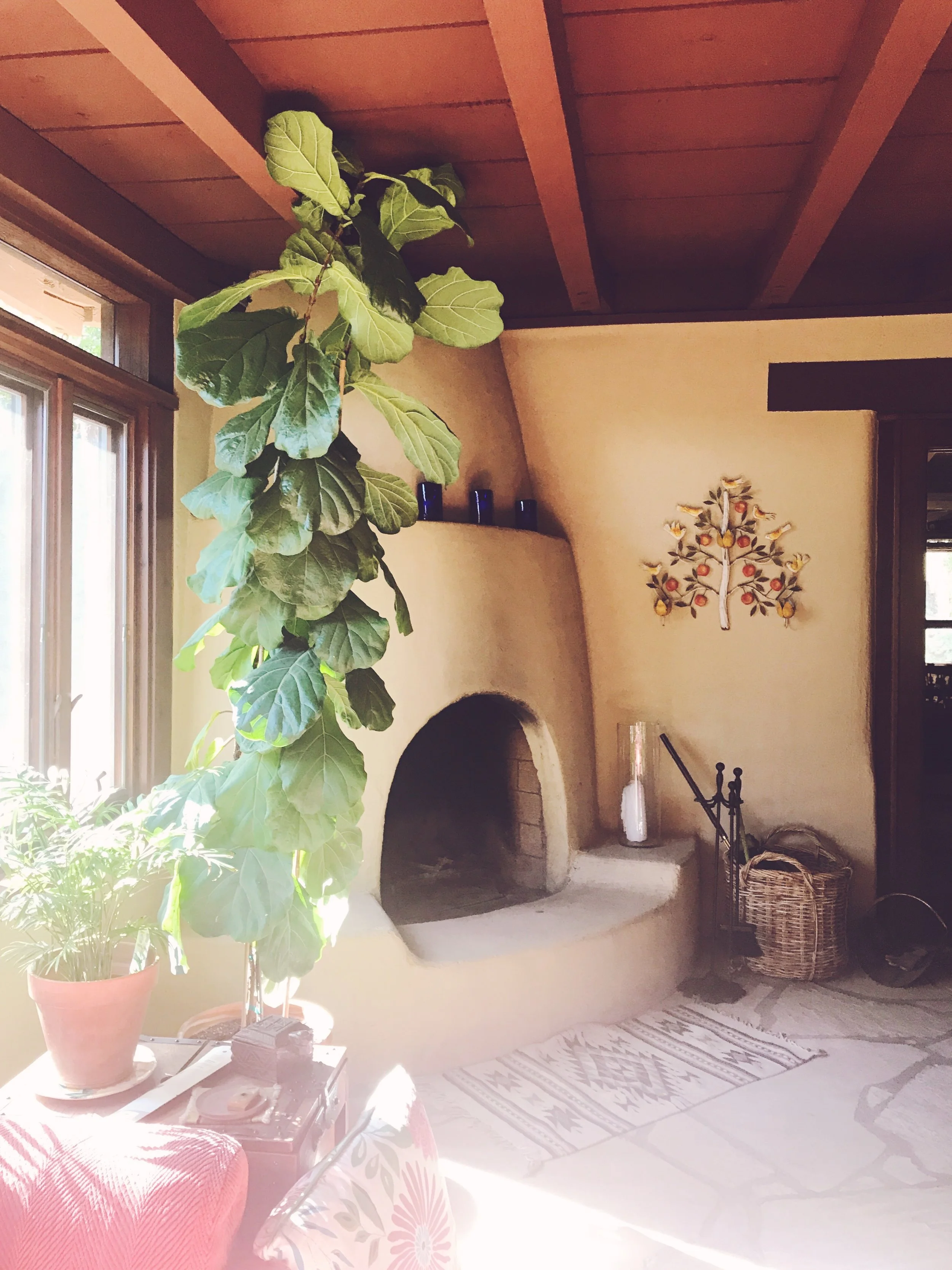 The Road Home: Discovering Belonging In My Search For Place