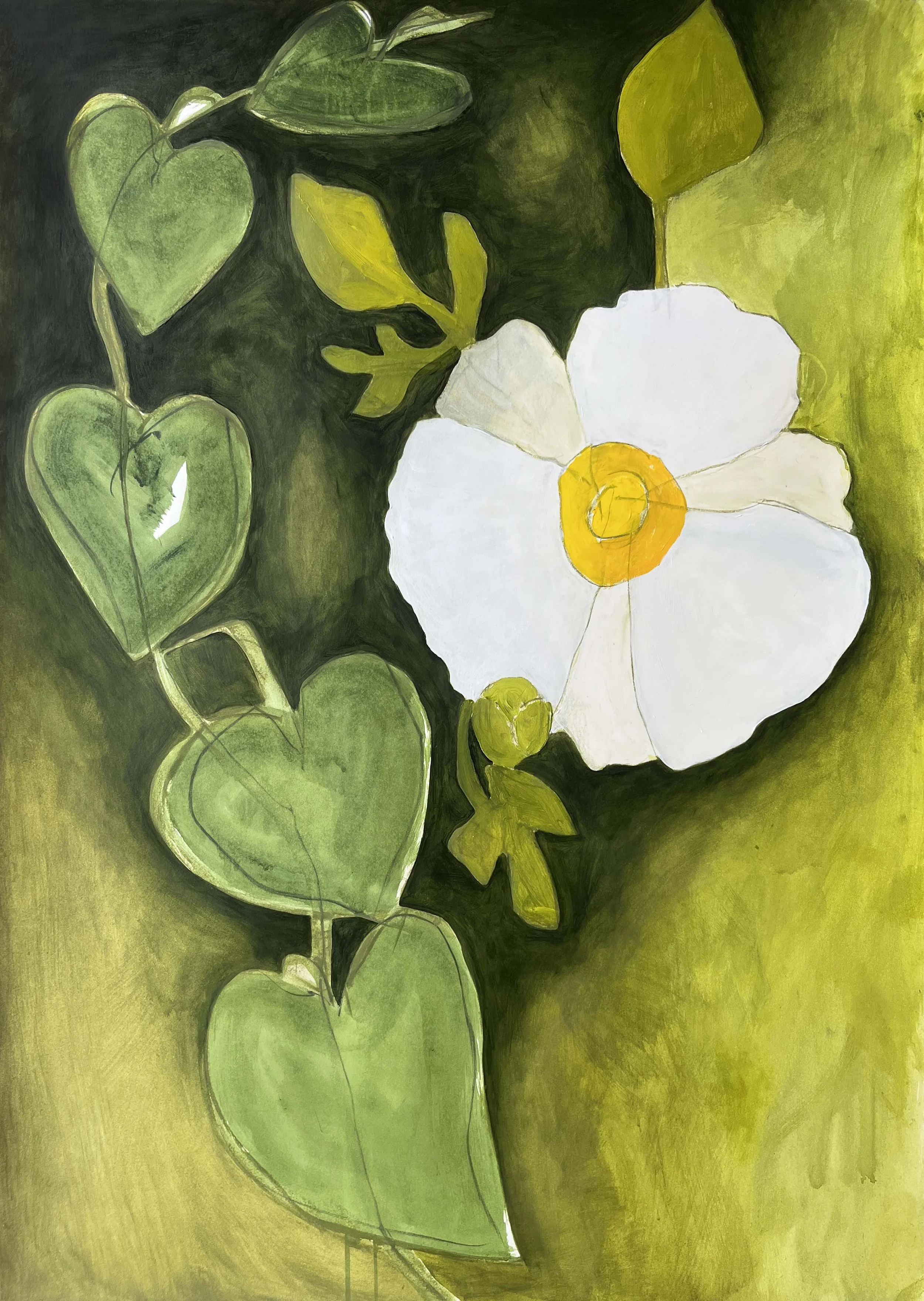 Heart Opening (Matilija Poppy)