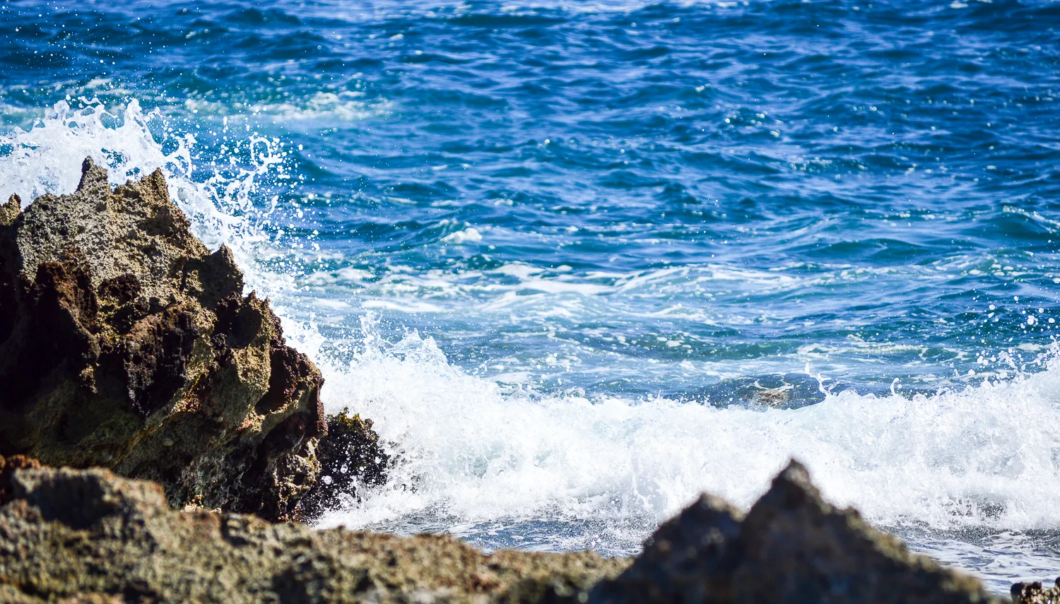 Travel Snapshot: Diving in Utila, Honduras