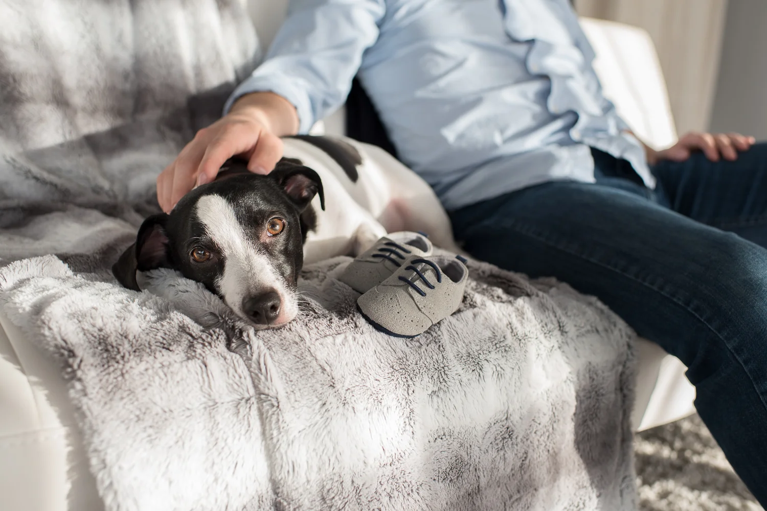 Pet photography with families with D. Phillips Photography