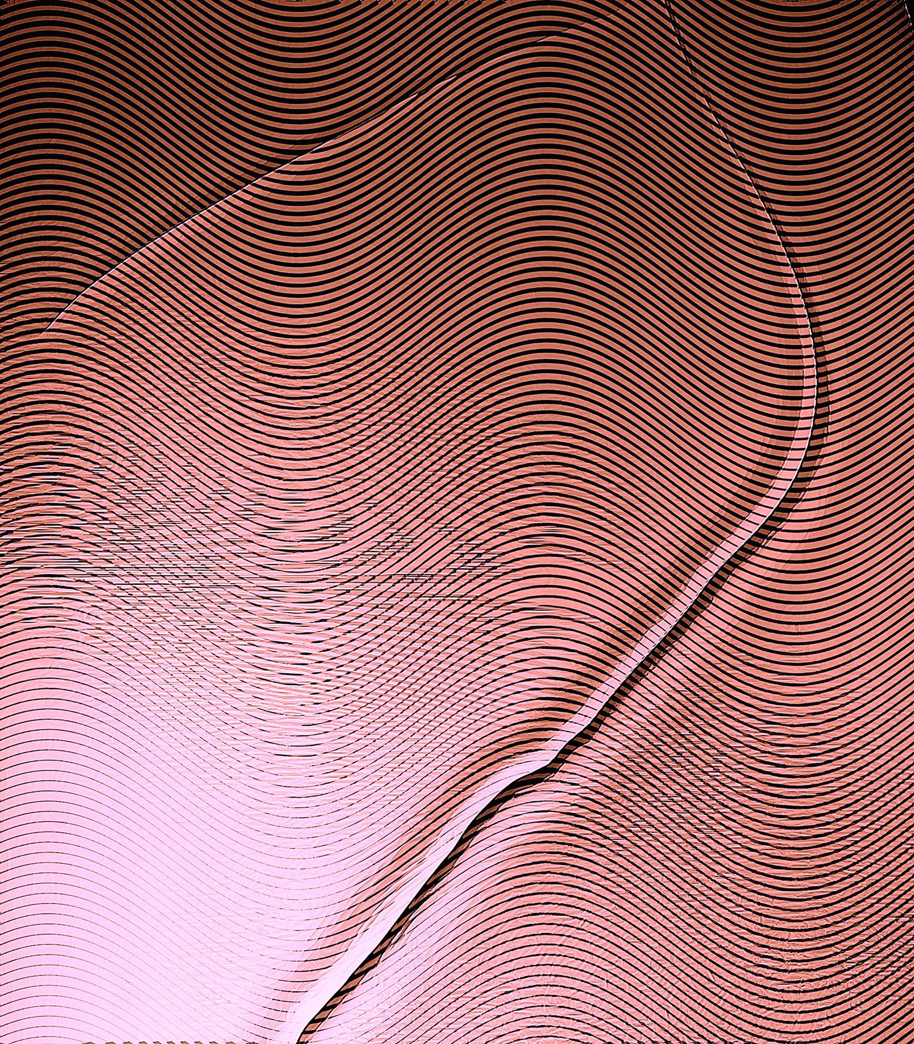 11899344_10153110863263527_488987578_o.jpg
