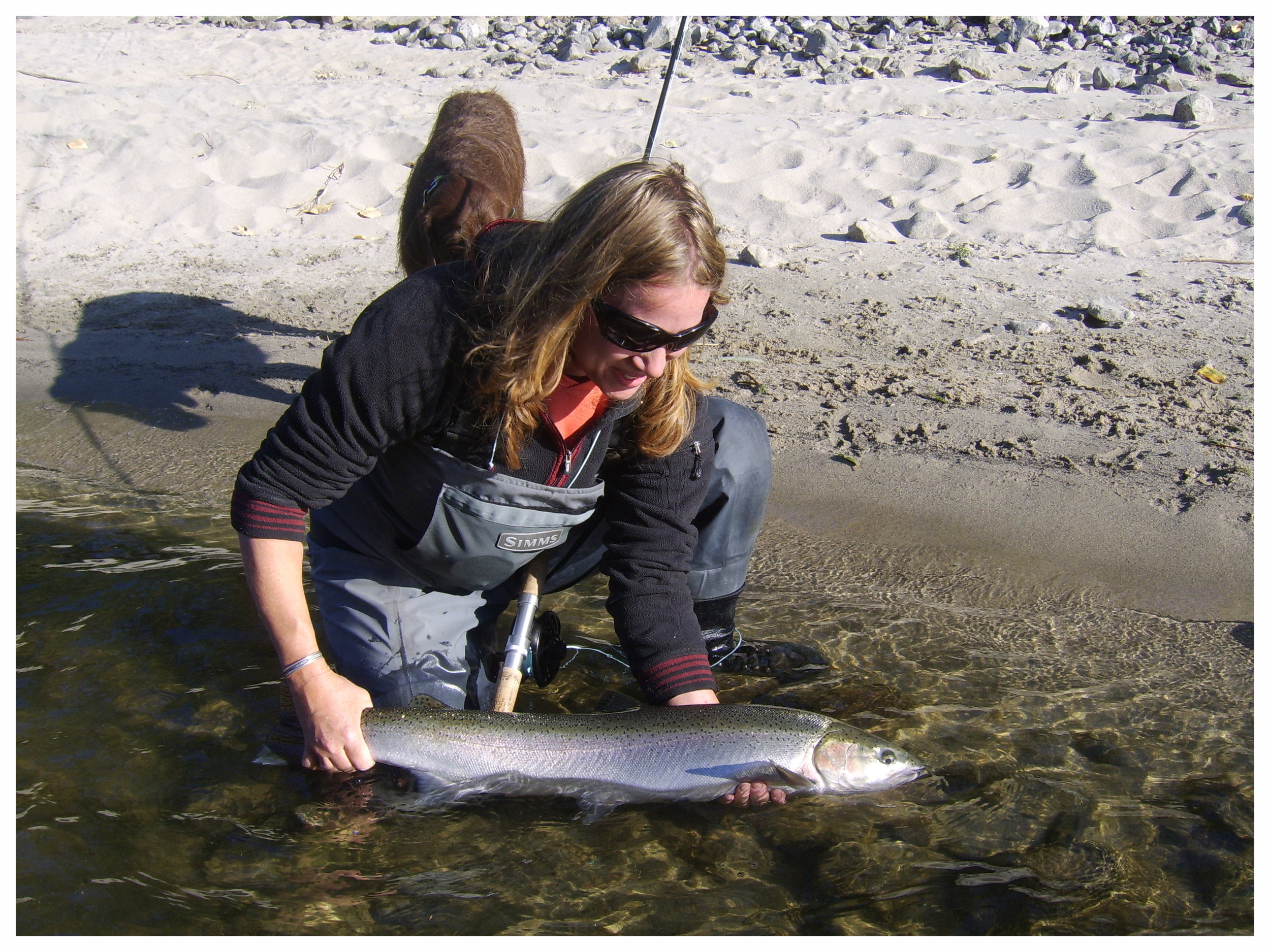 Steelhead on the fly