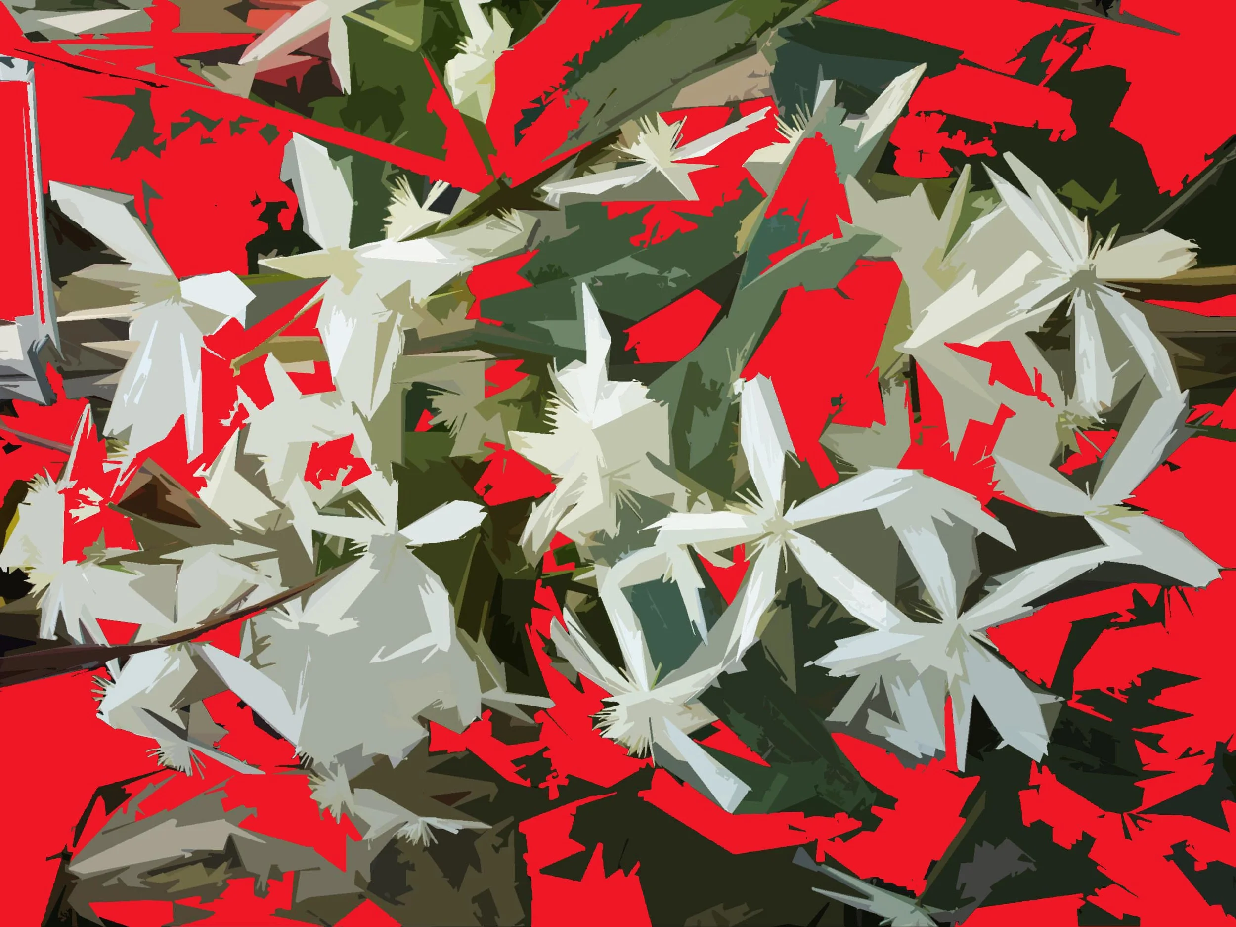 Sweet Autumn Clematis 2