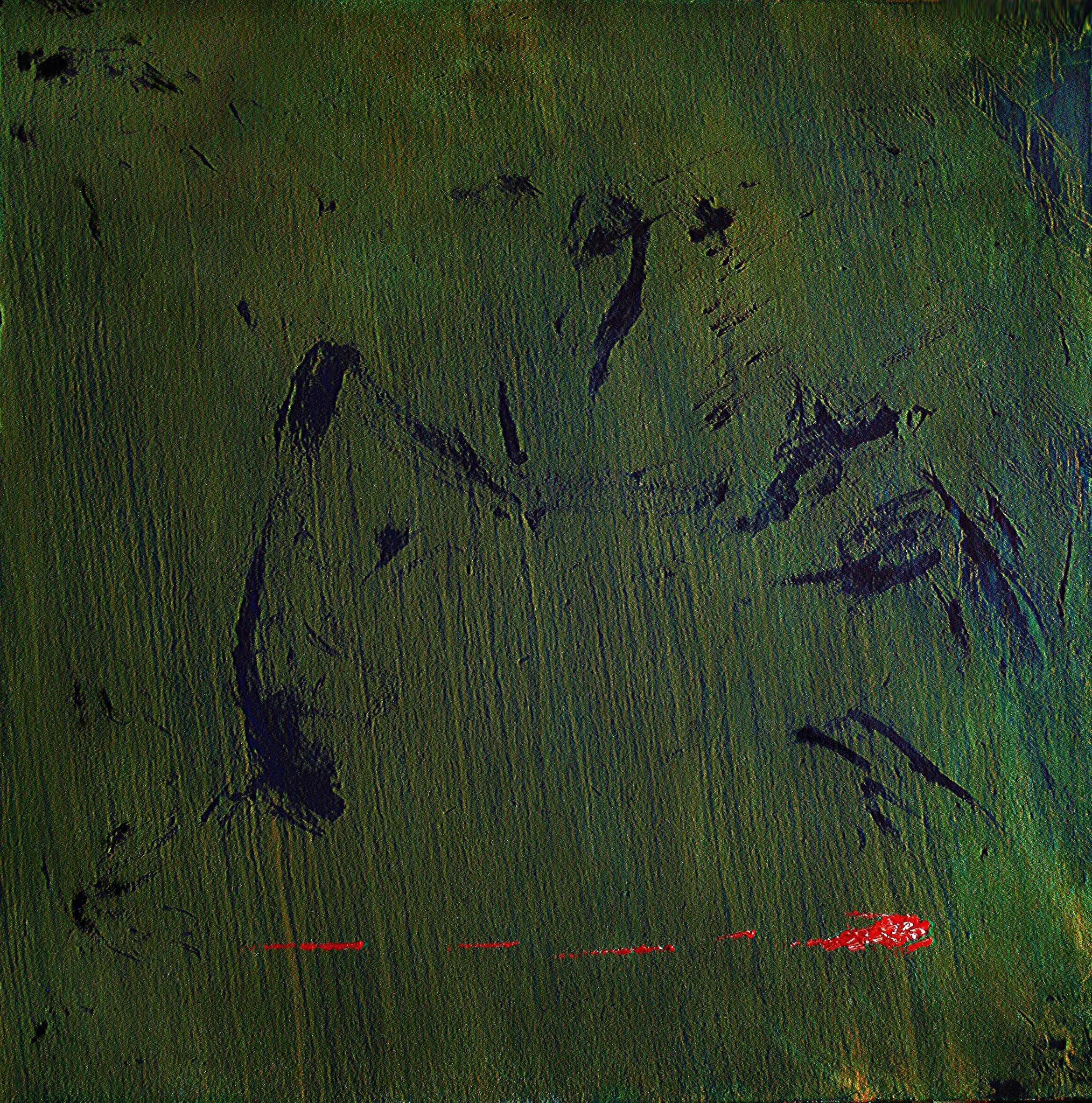 Black Swan Green
