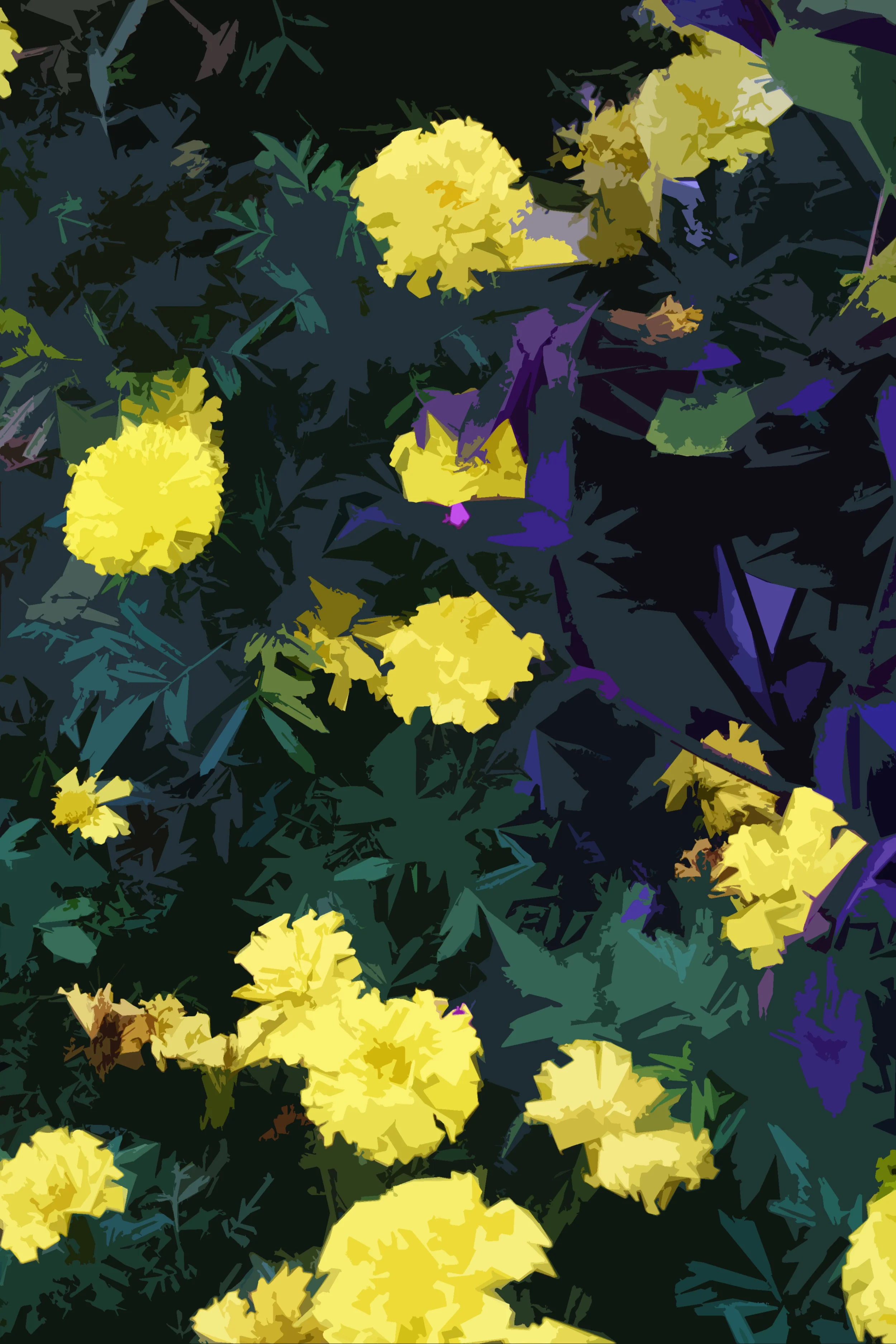 Marigold and Purple Secretia