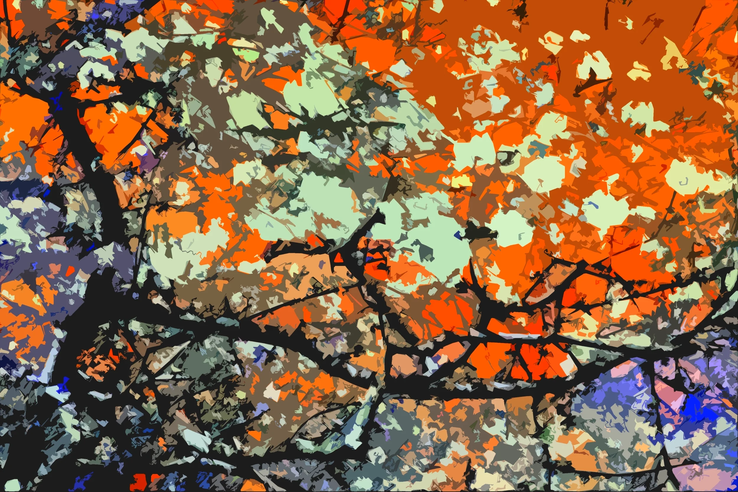 Yoshino Cherry at Sunset