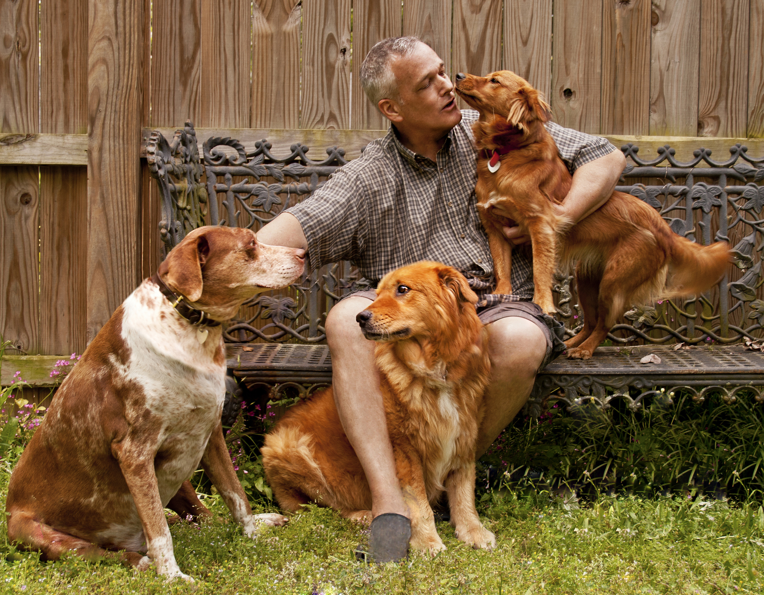 Jack and Pups