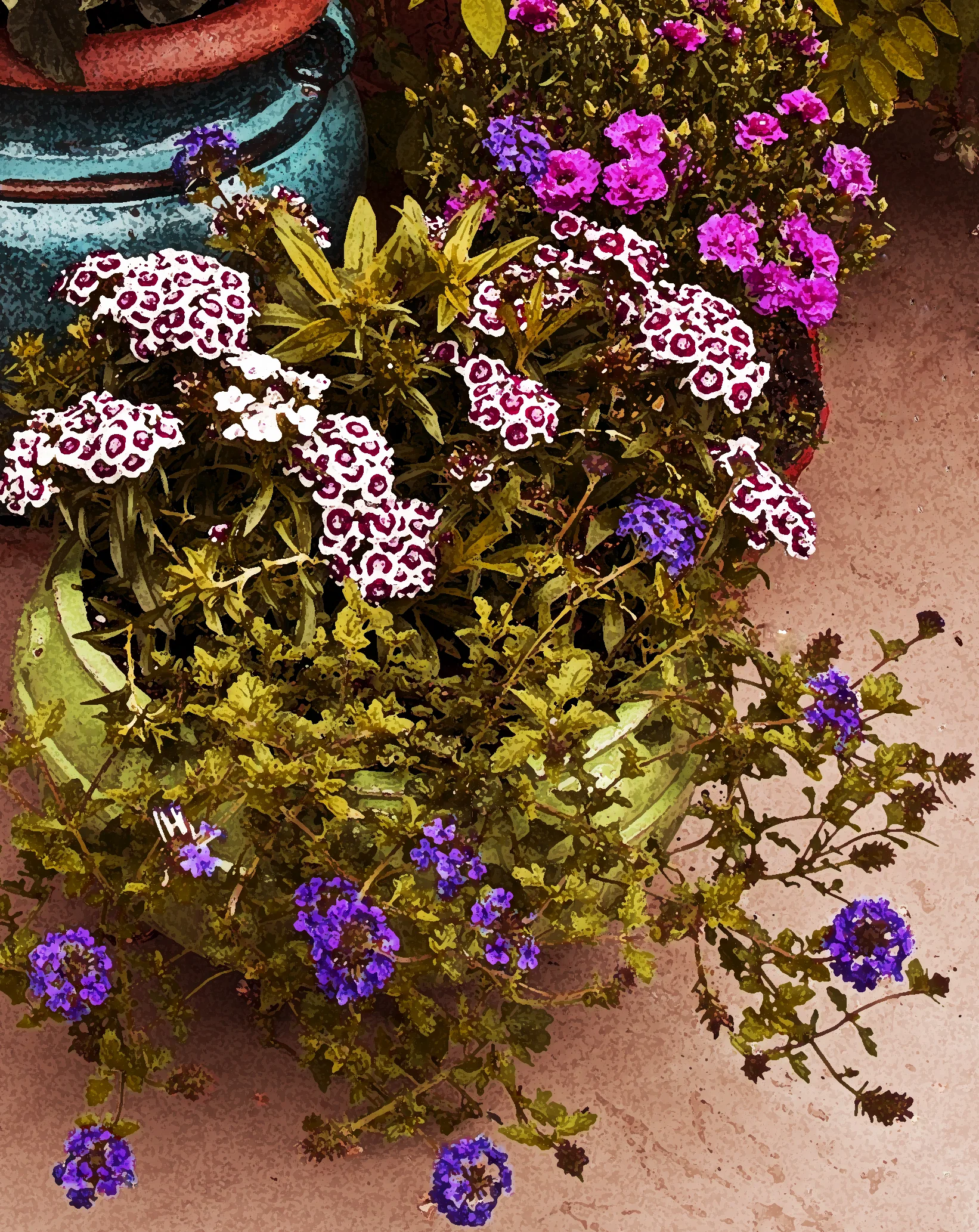 Sweet William & Verbena