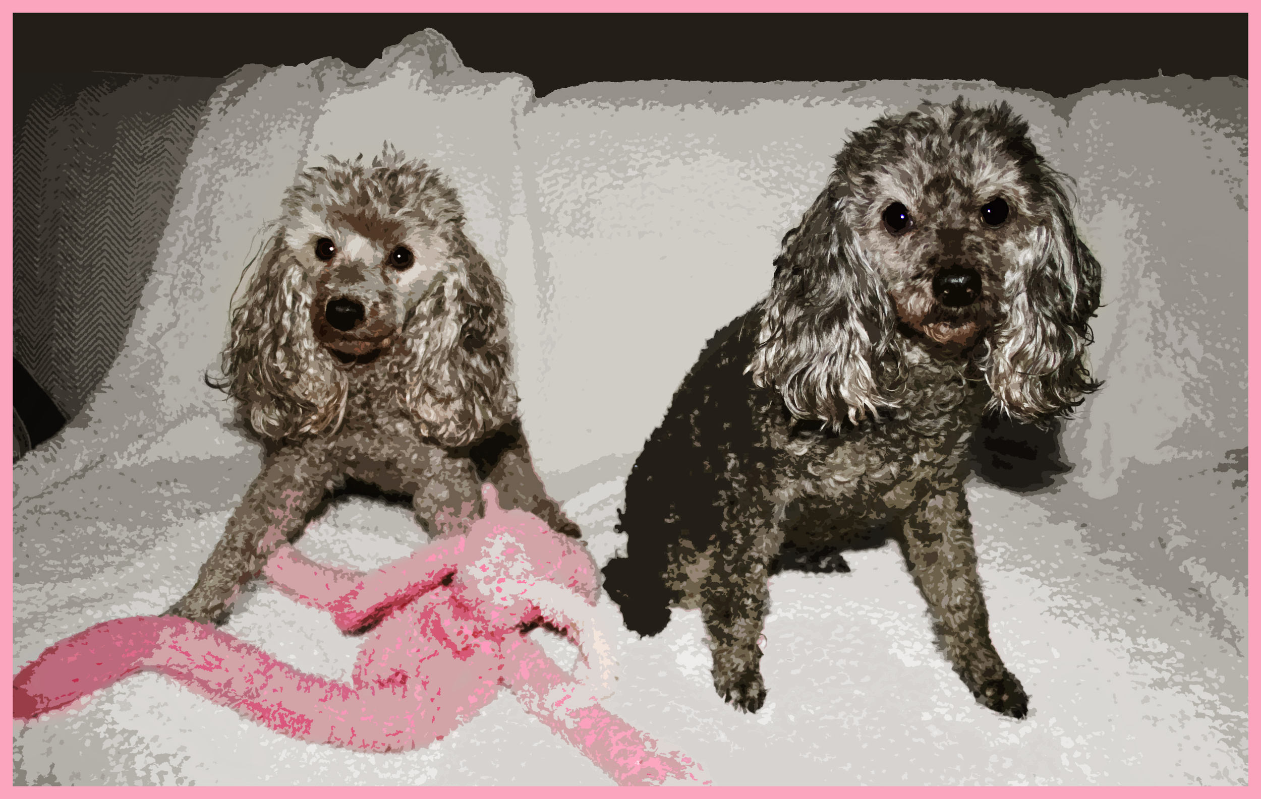 Patricia and Solome