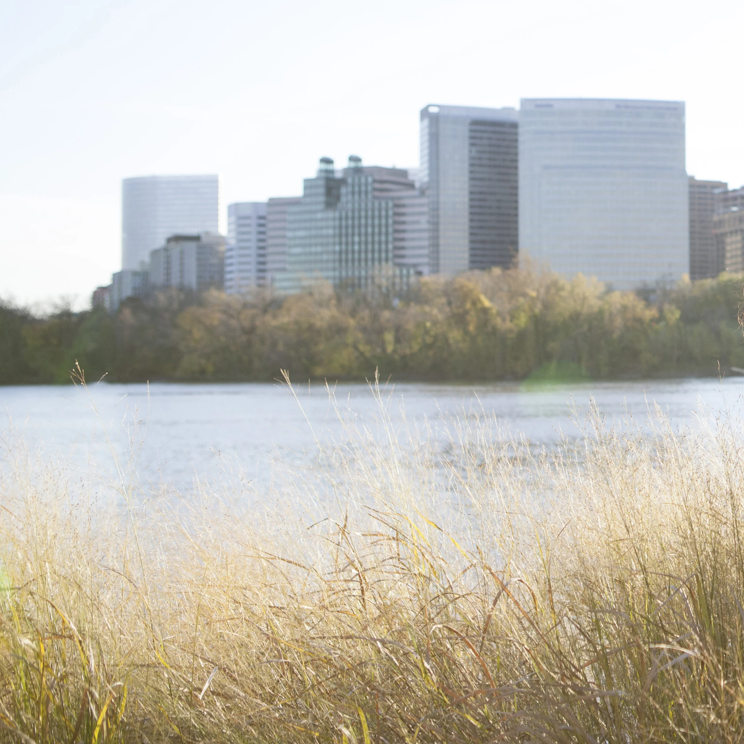 rosslyn 2.jpg