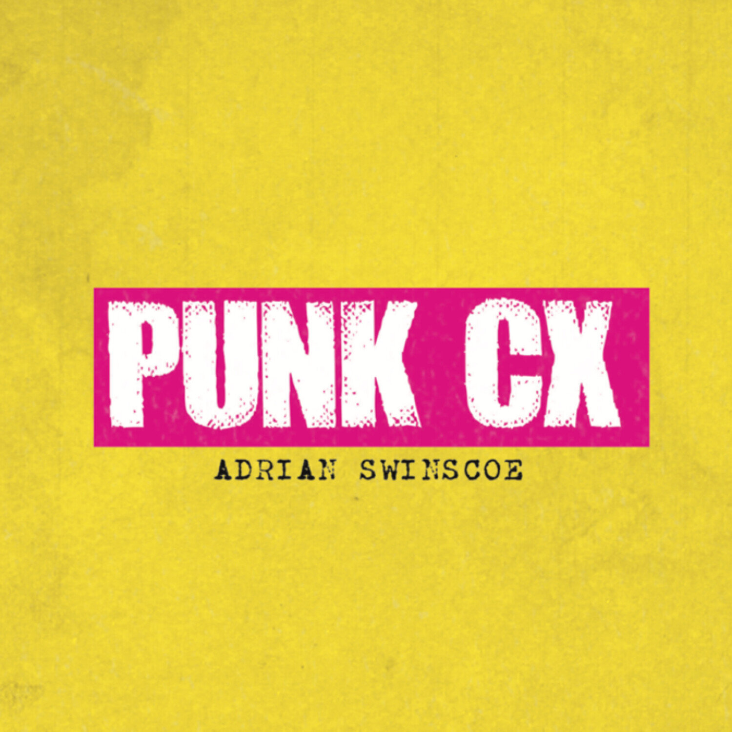 PUNK CX - Why we need to democratise leadership development and how the coronavirus pandemic is highlighting the strength and power of a more feminine way of leading