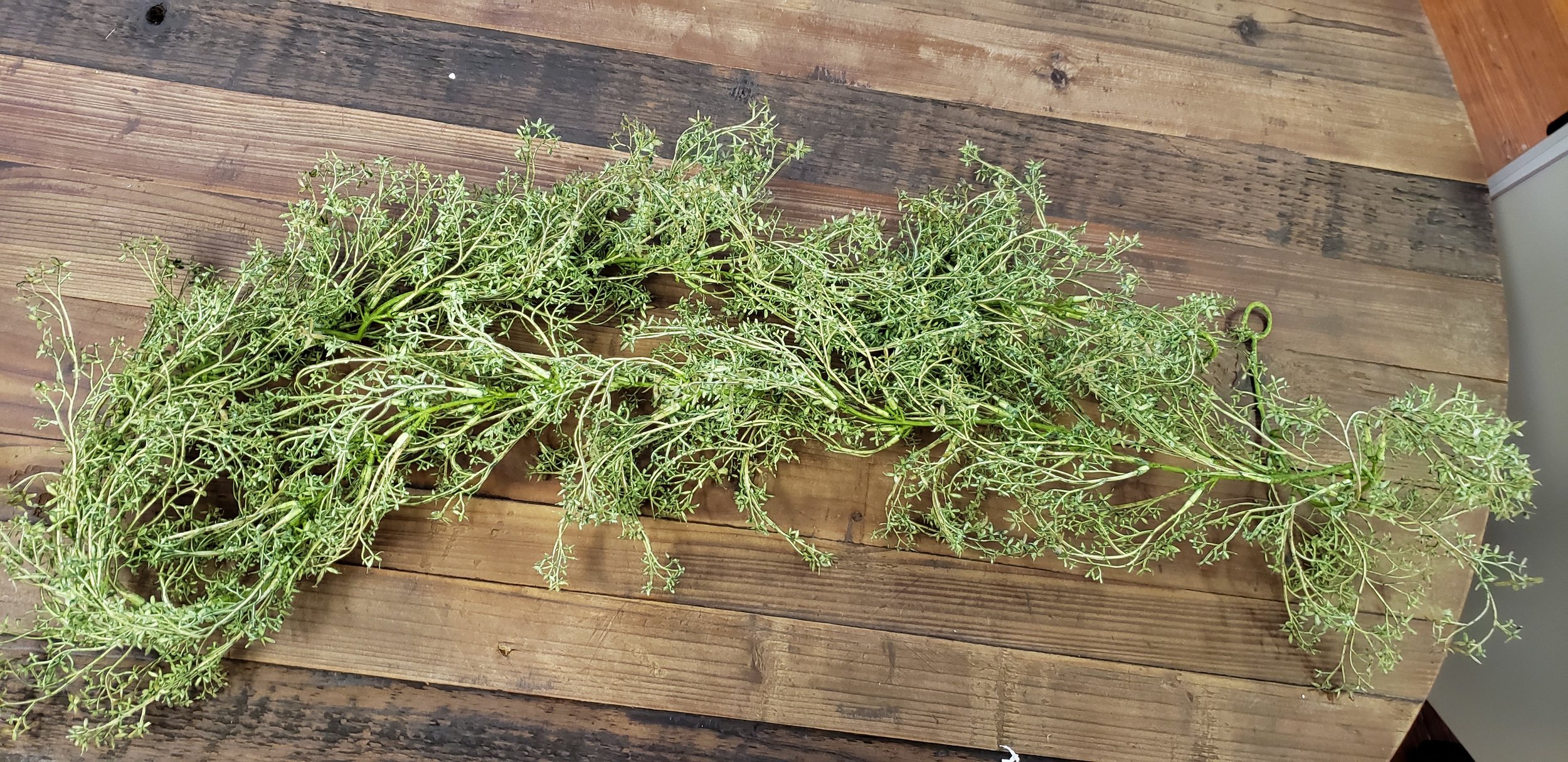 Garland- Baby's Breath