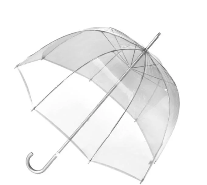 Umbrella- Clear Dome
