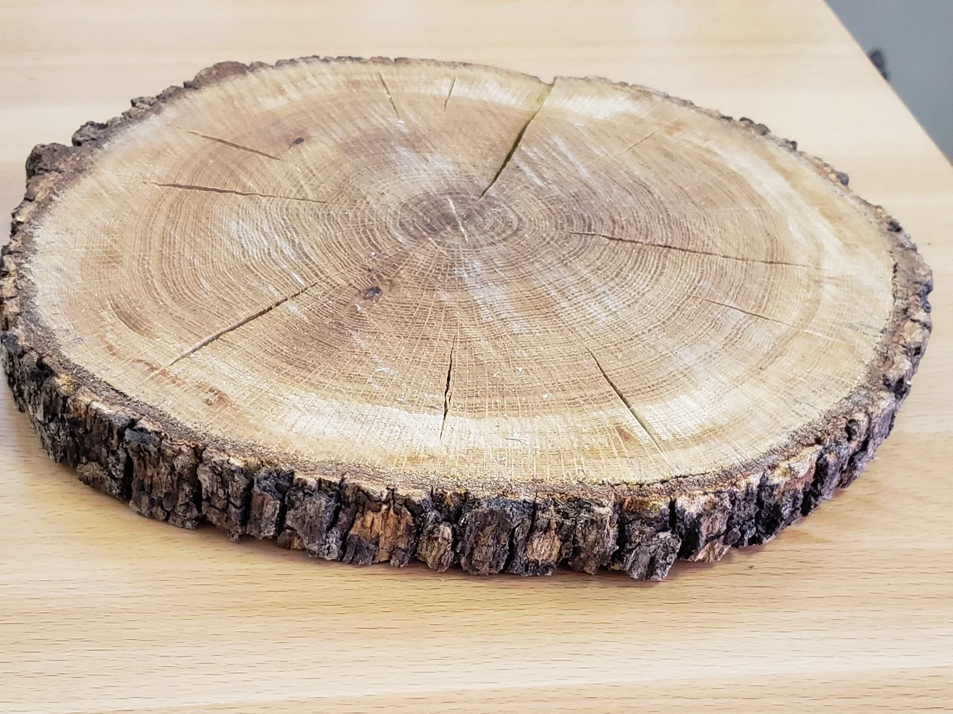 Wood Slab (Set of 2)