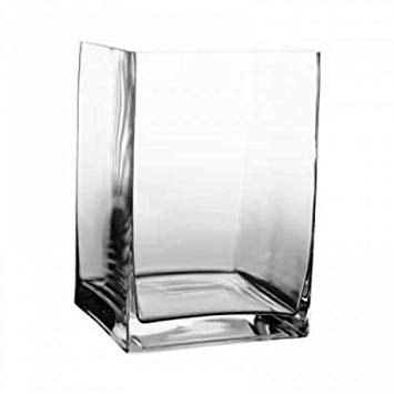 Kælder Ass alkove 8x8 Square glass cube vase (set of 2) — Plush Home & Fashion