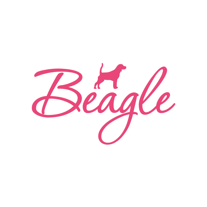 Beagle Feminina
